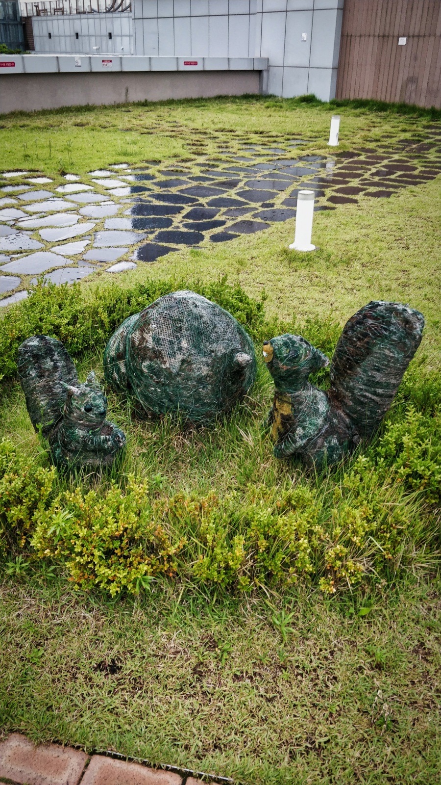 IMG 20190710 150936