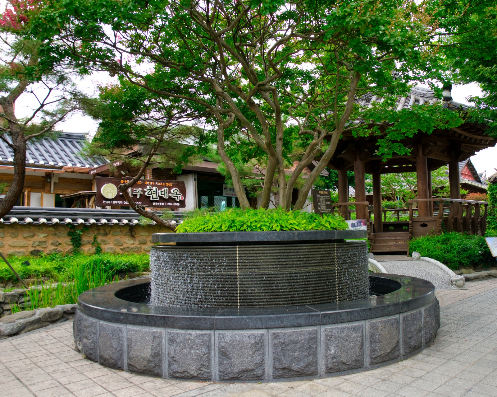 DSC09913