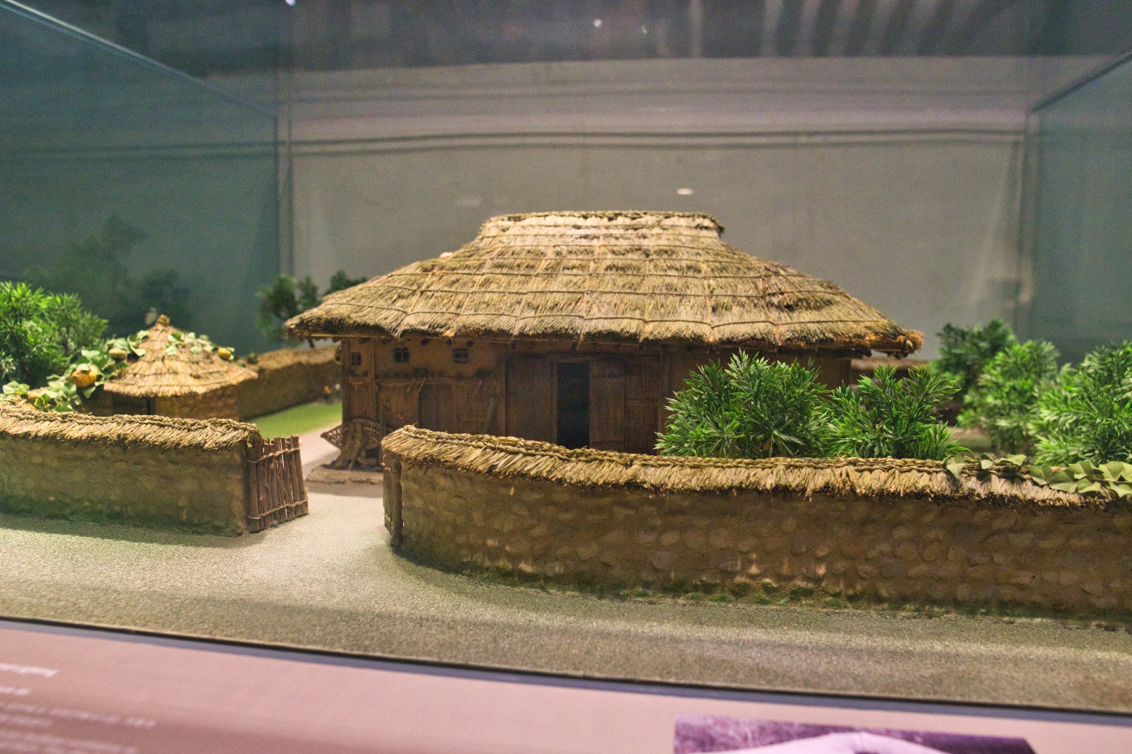 DSC00055