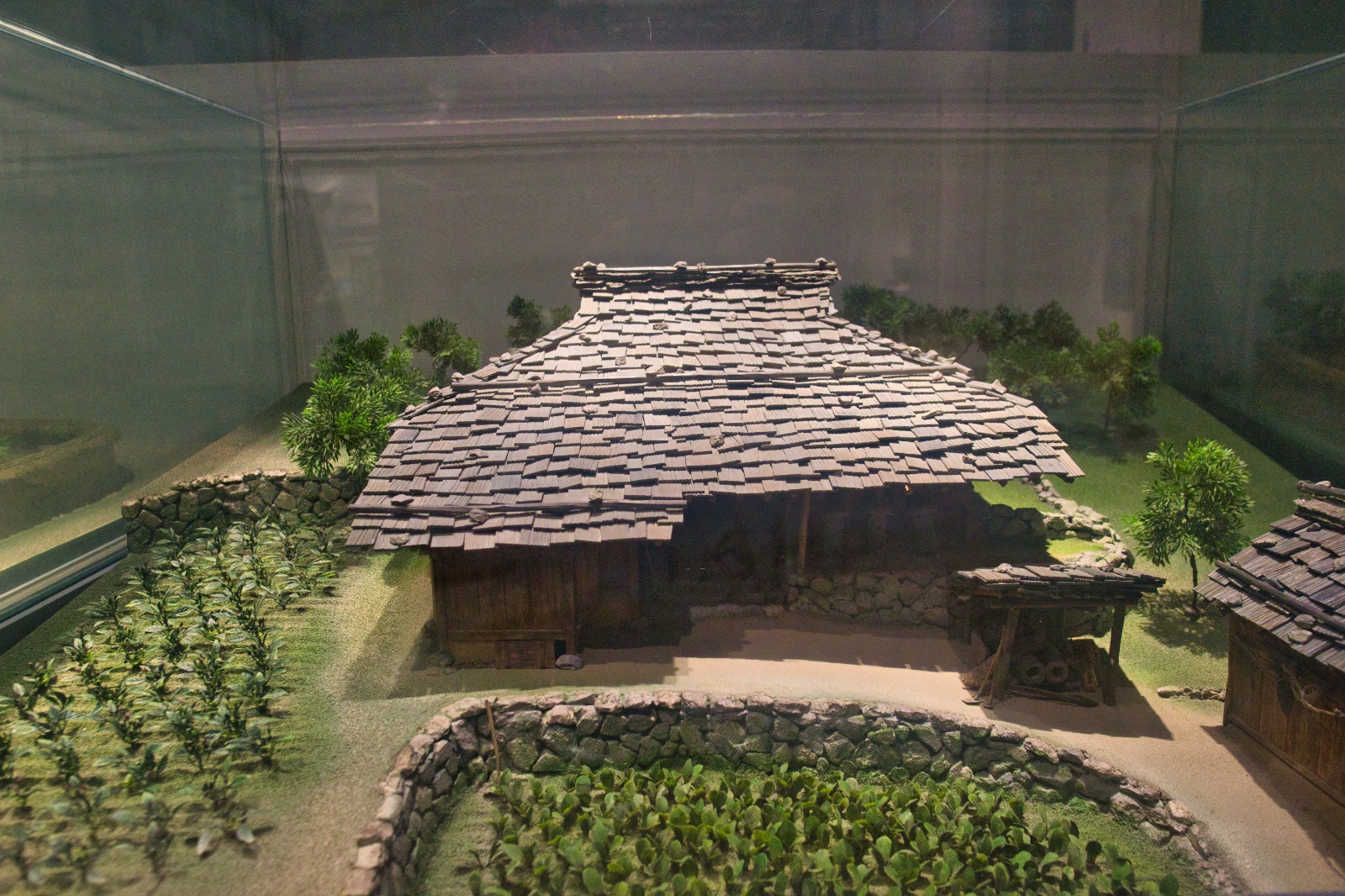 DSC00057