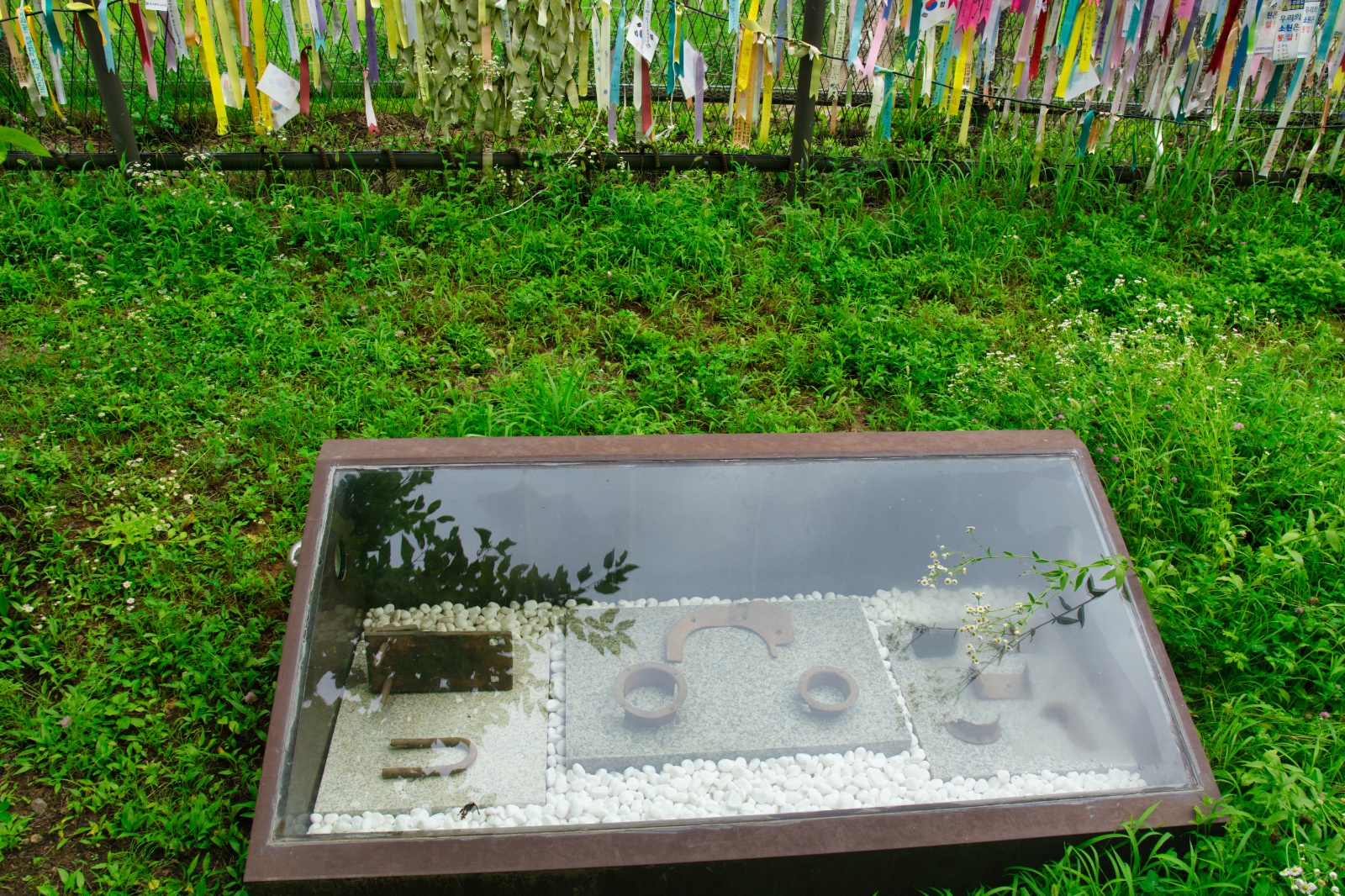DSC00290