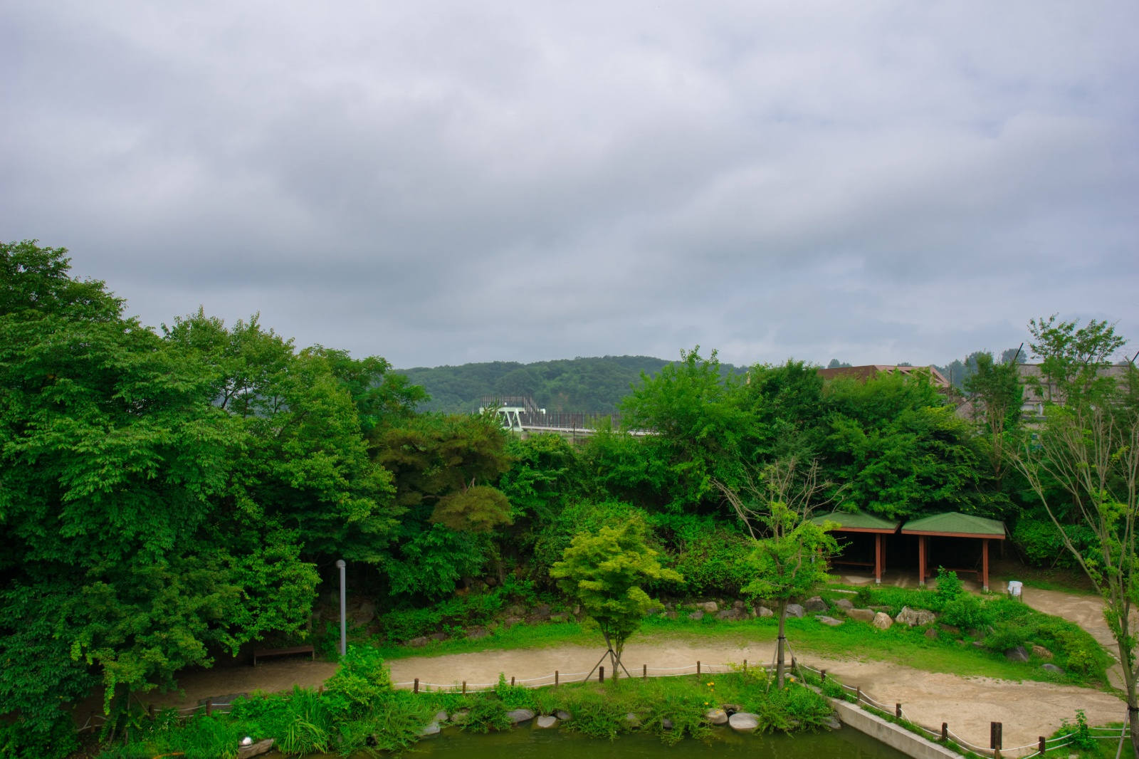 DSC00297