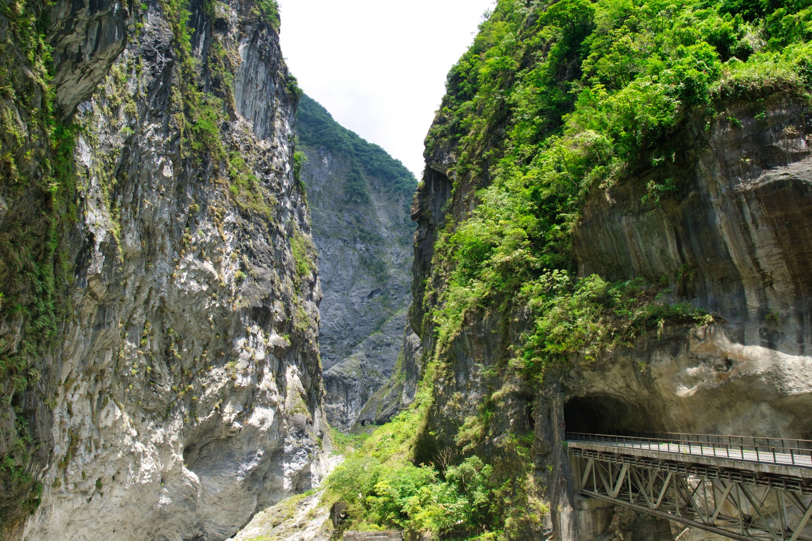 DSC00800