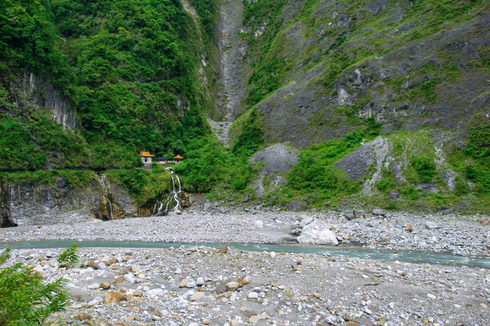 DSC00973