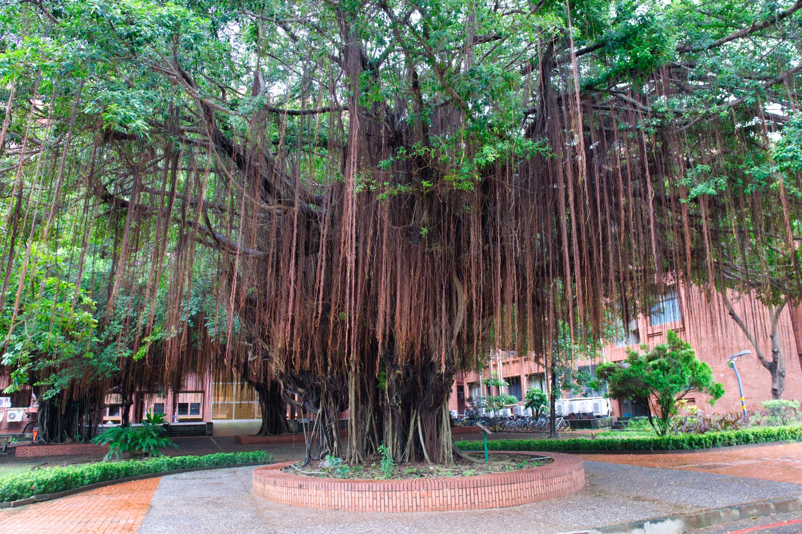 Kaohsiung039