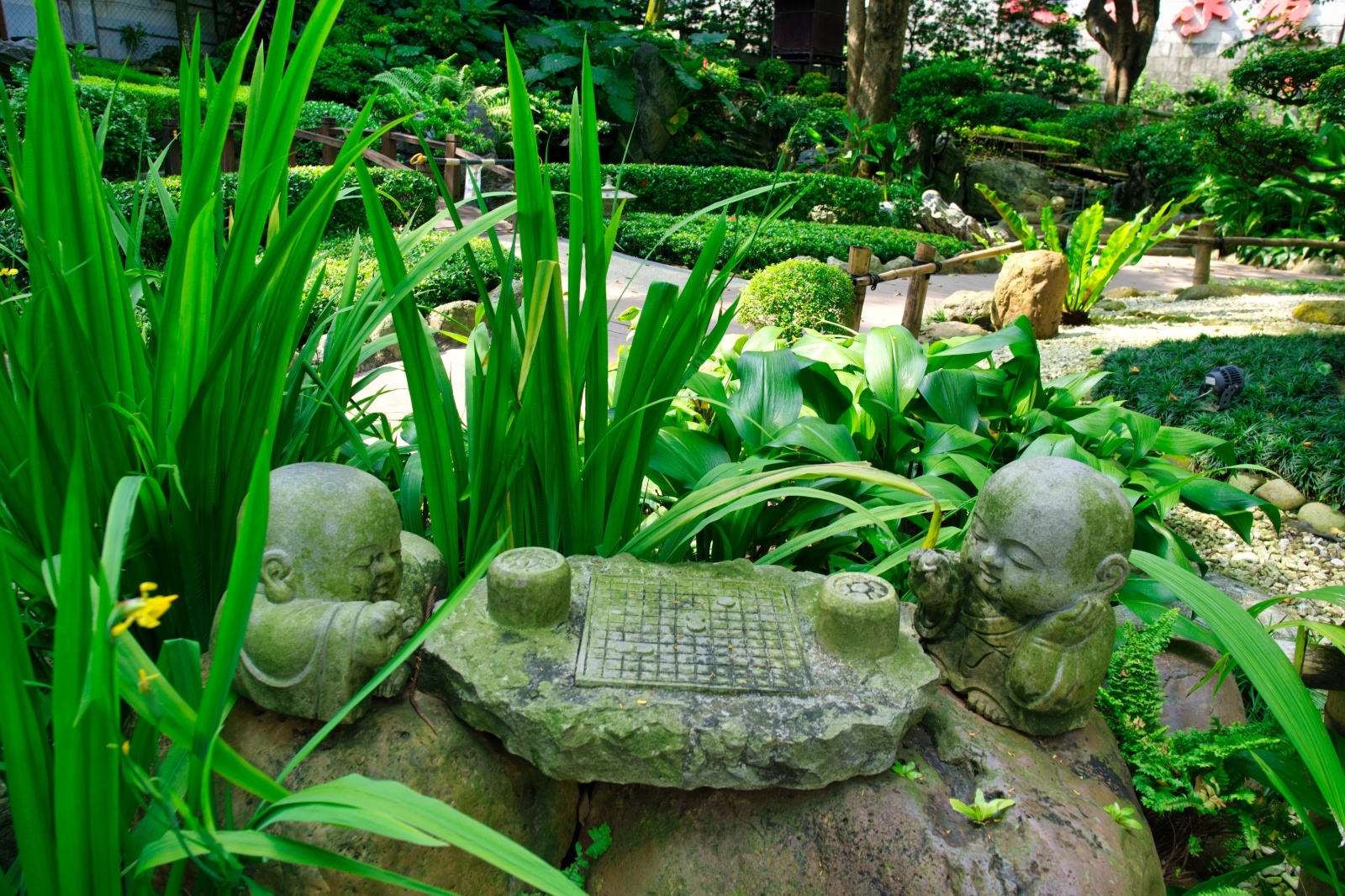 Kaohsiung113