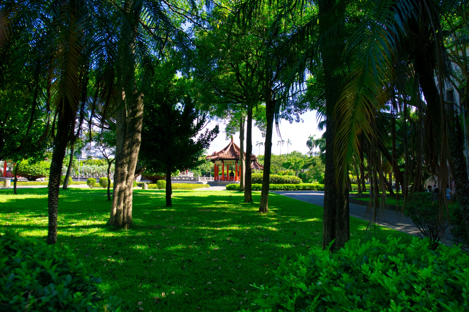 DSC00495