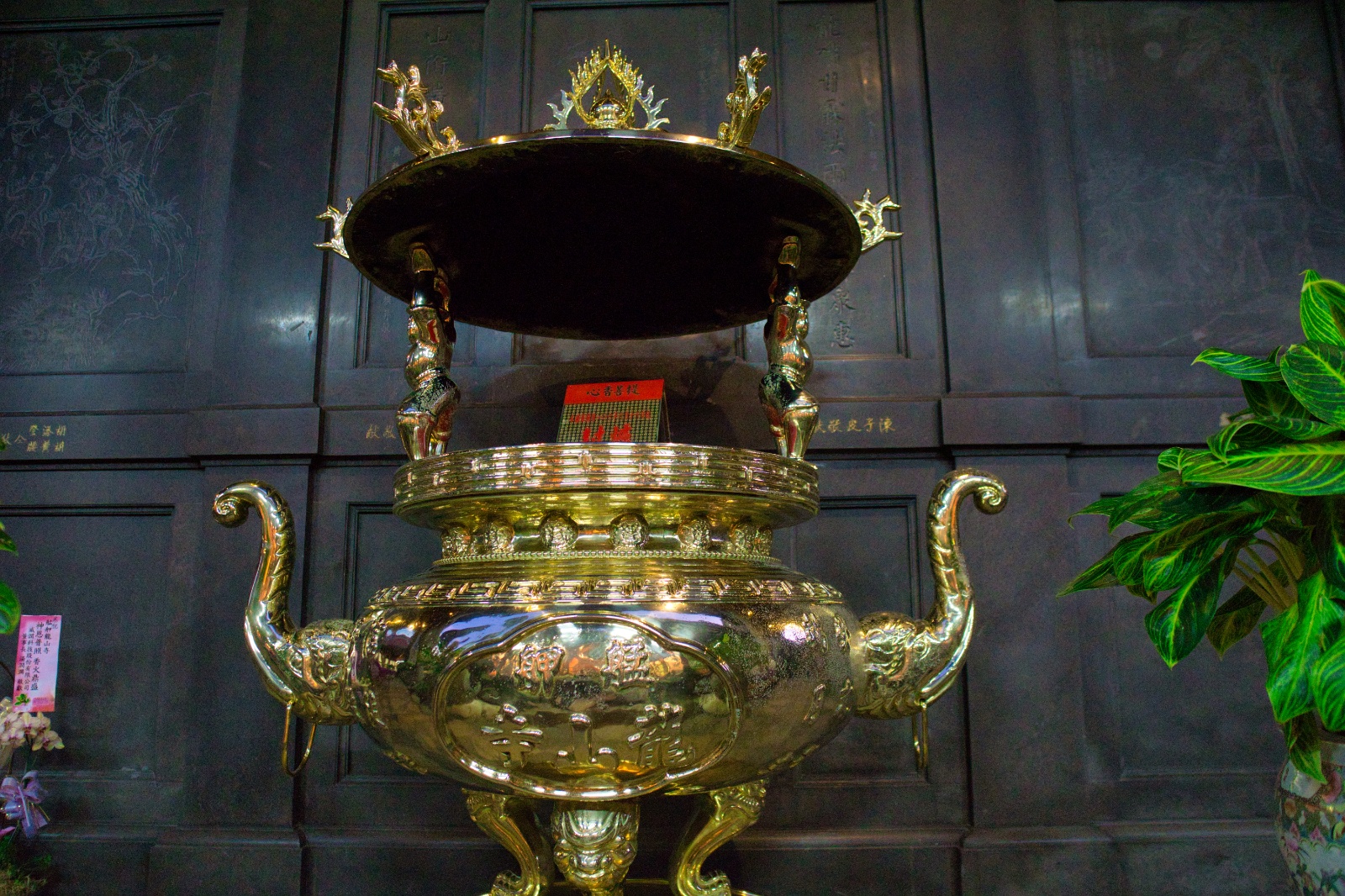 DSC00580