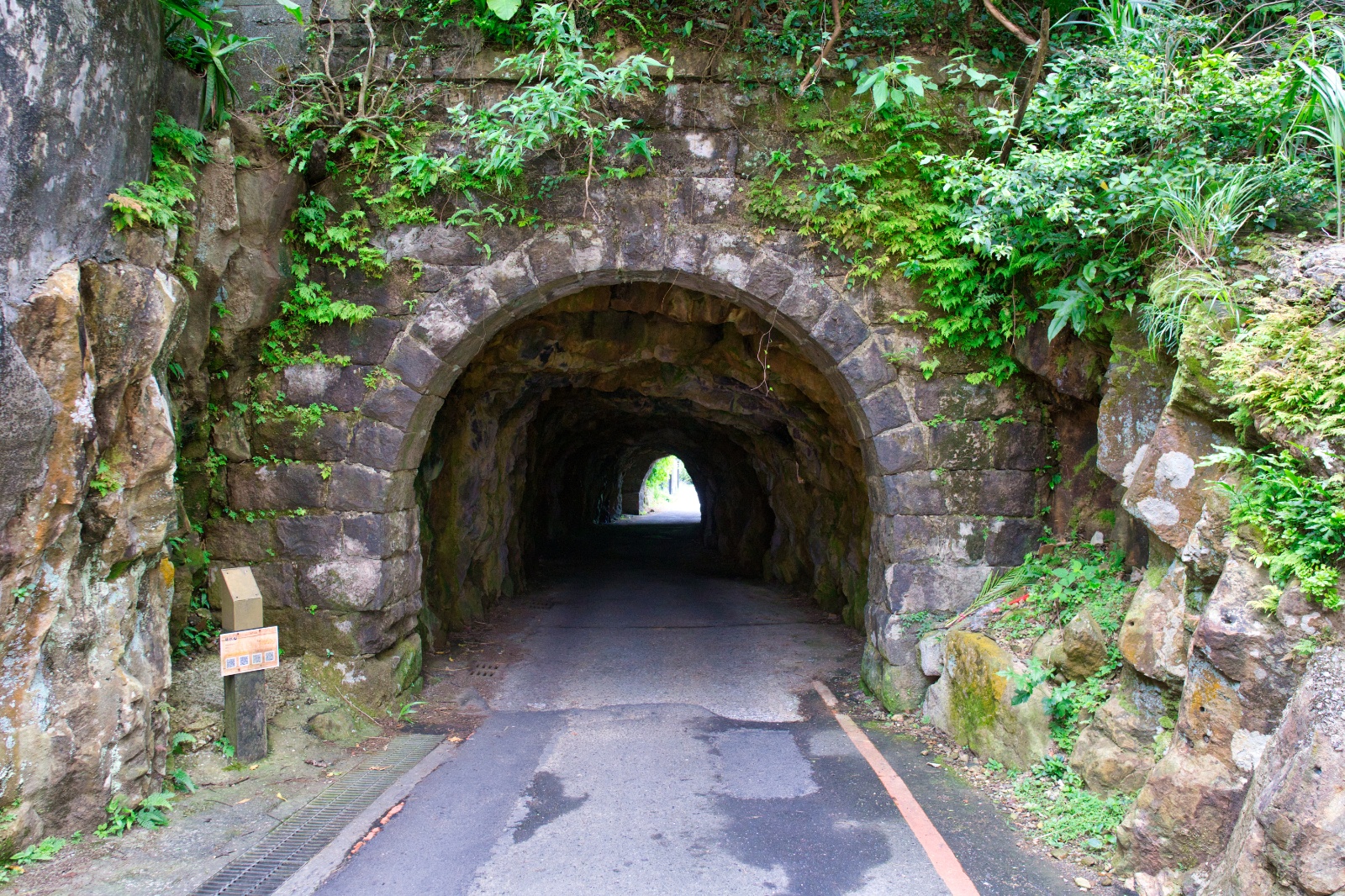 DSC02175
