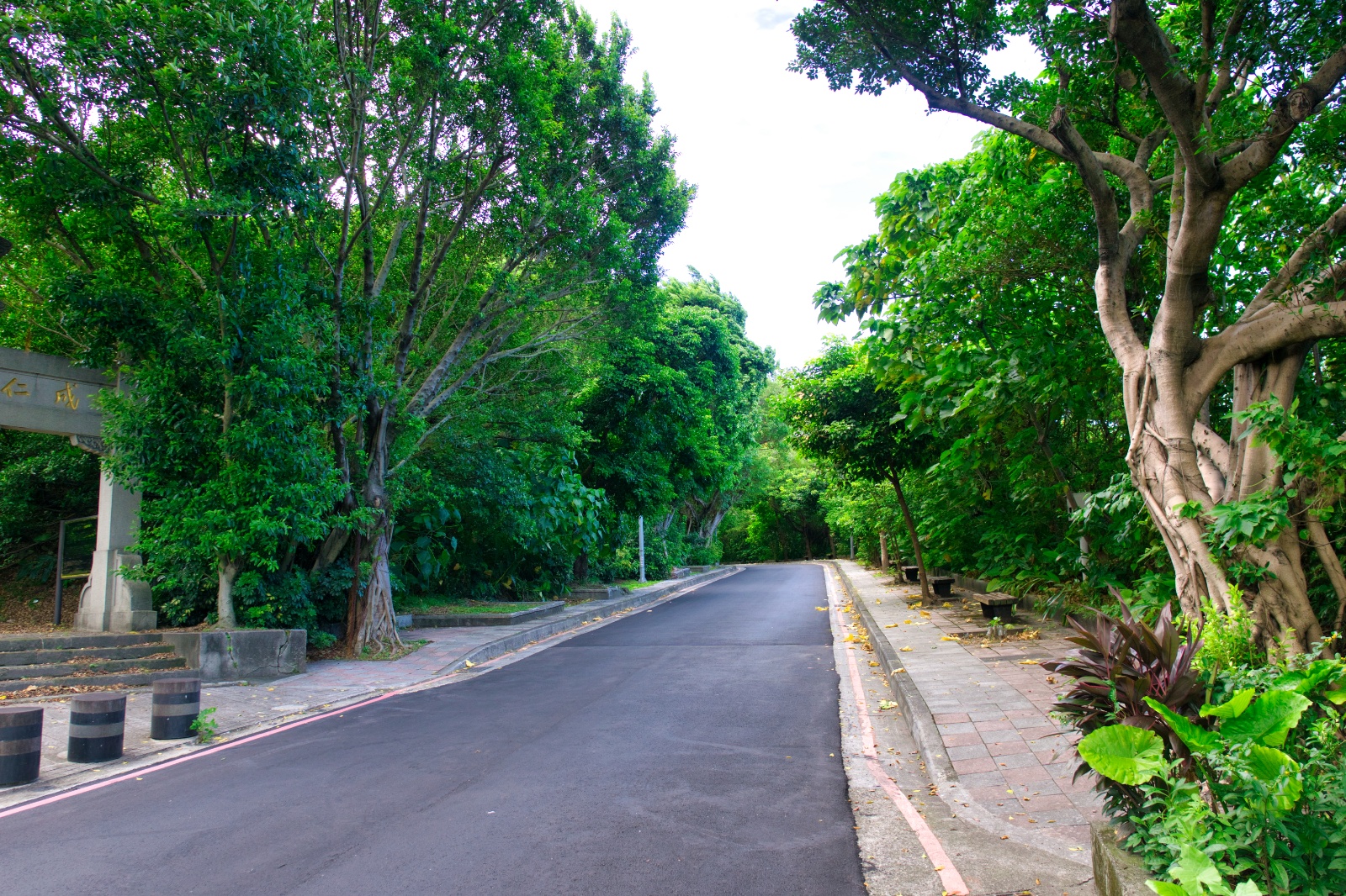 DSC02333