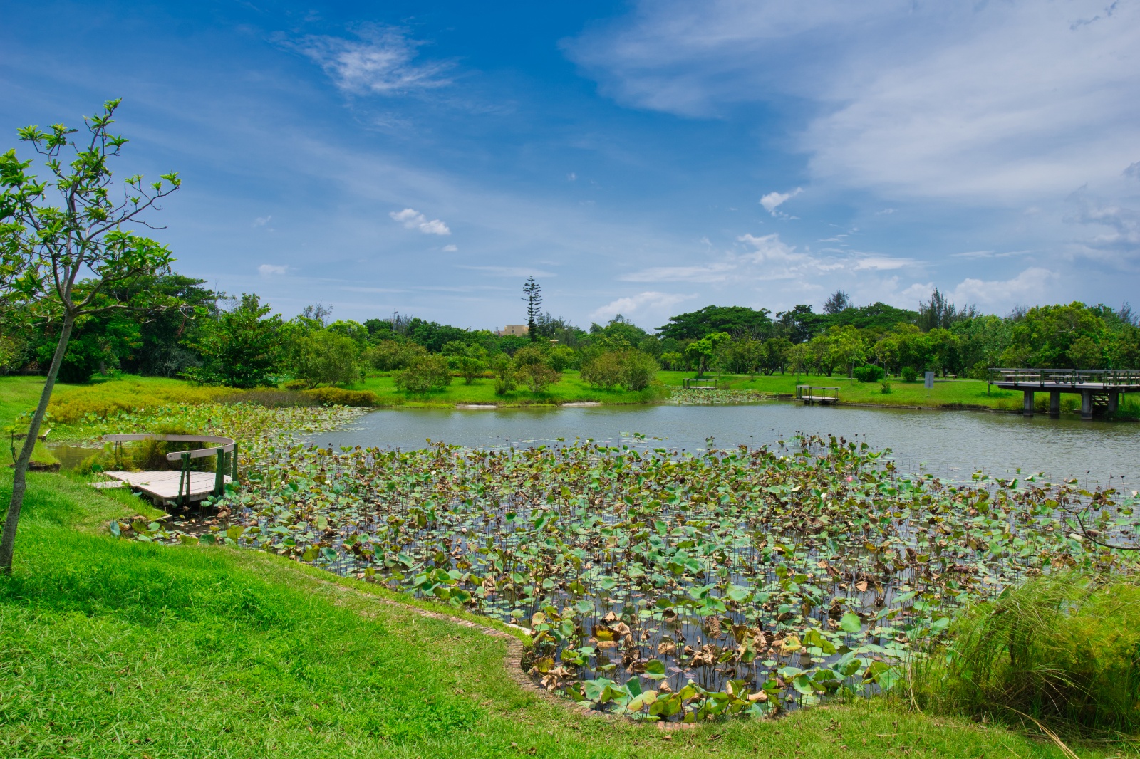 Taitung23