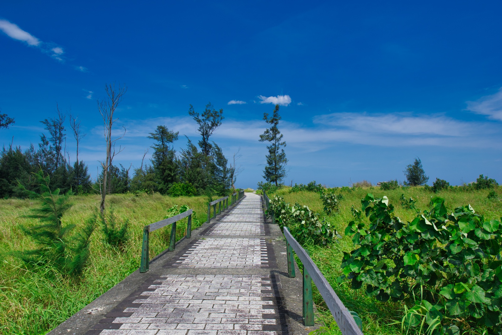Taitung32