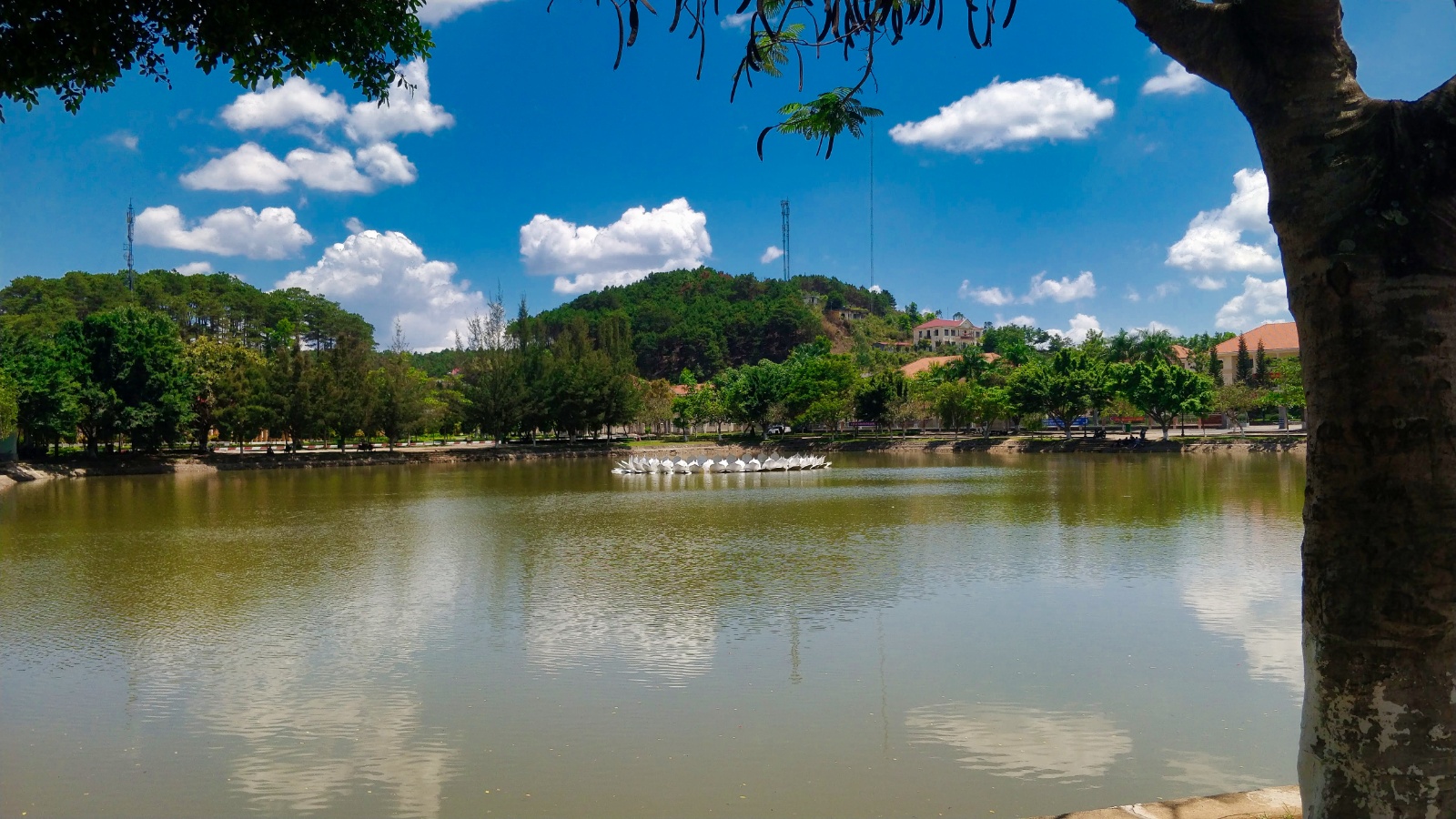 IMG 20190320 124405(1)