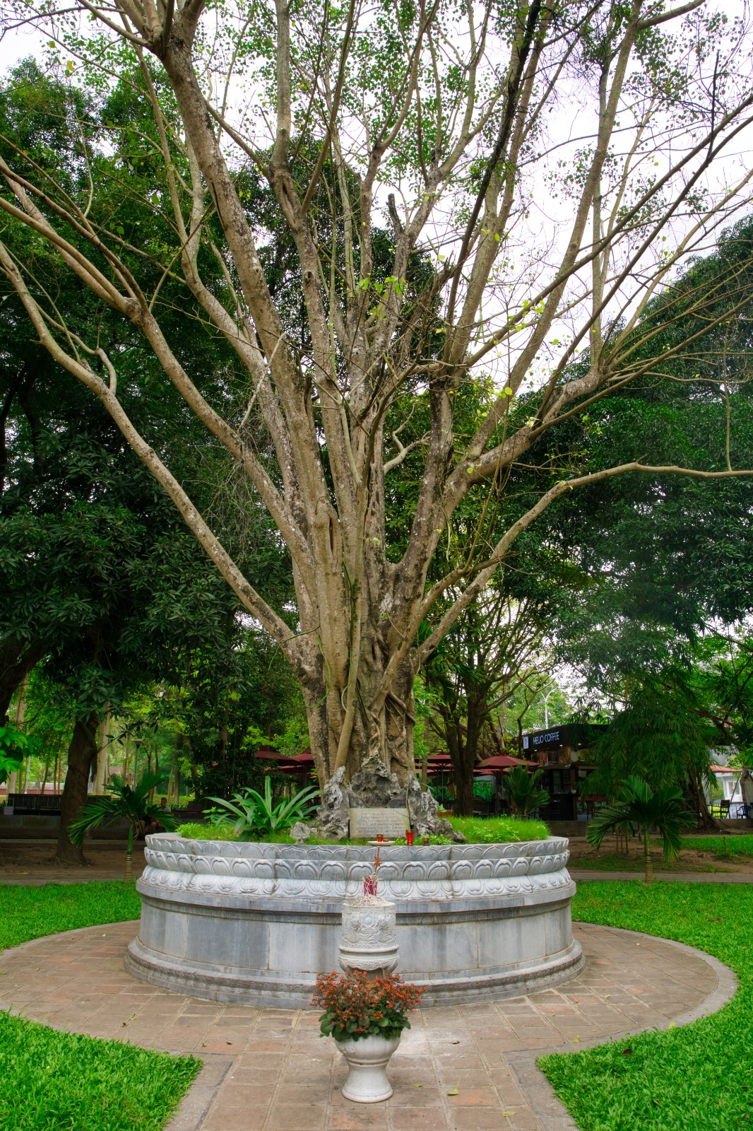 DSC04526