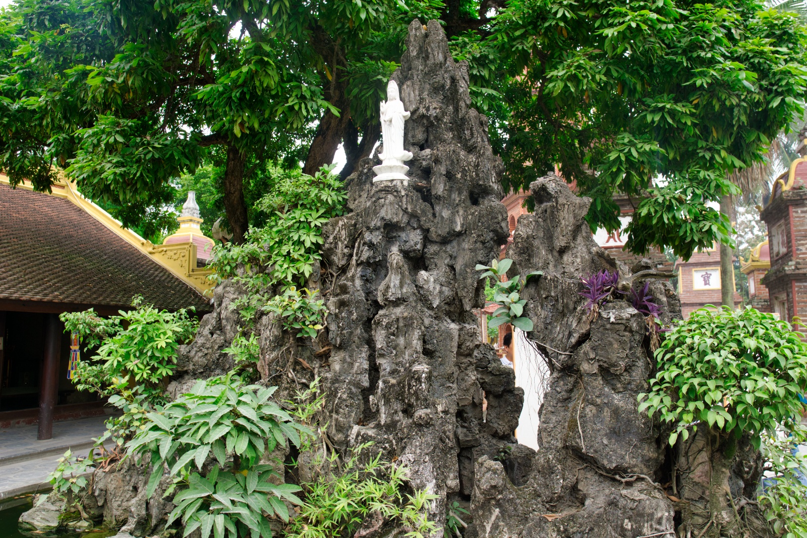 DSC04669