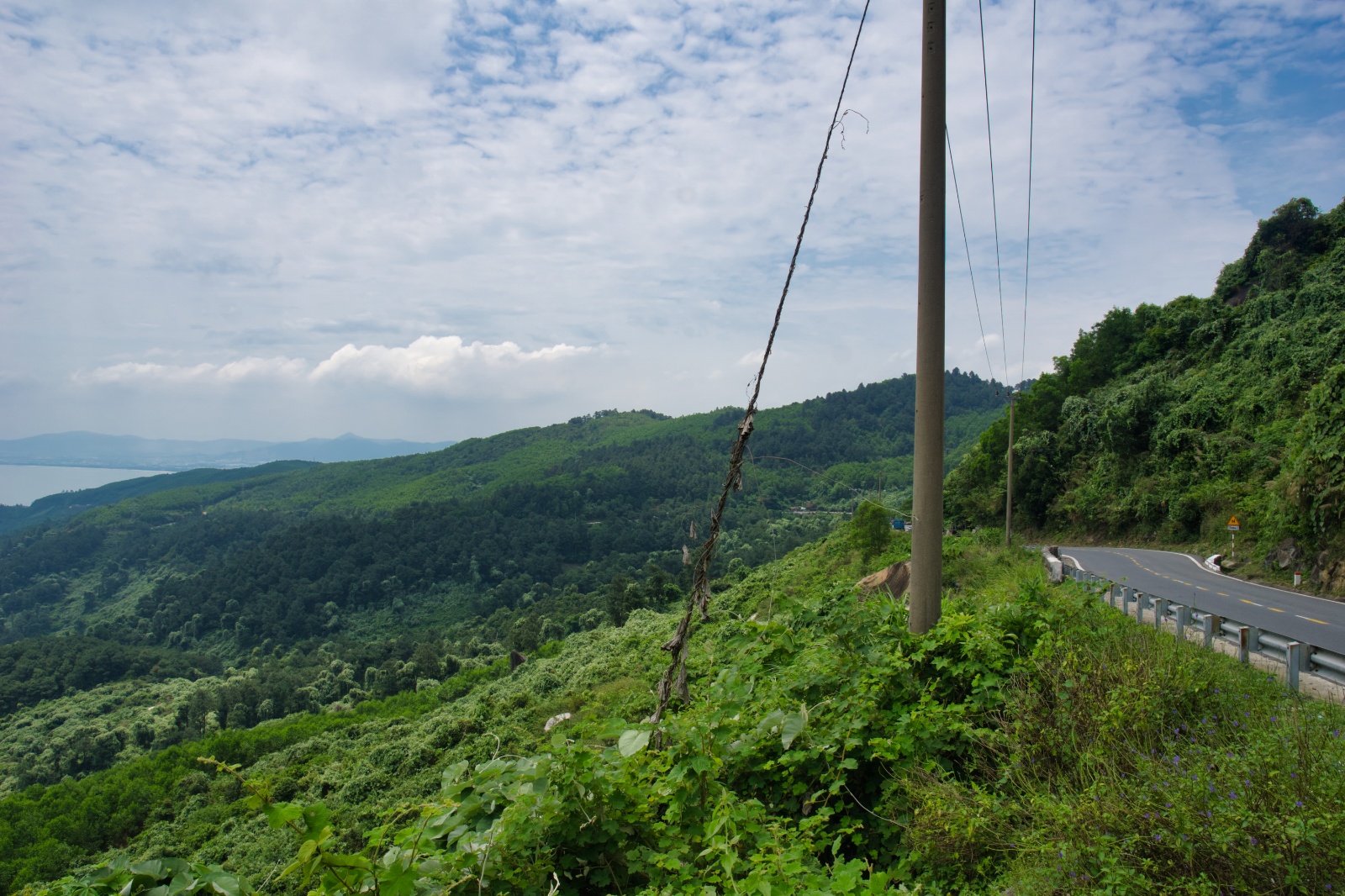 DSC02549