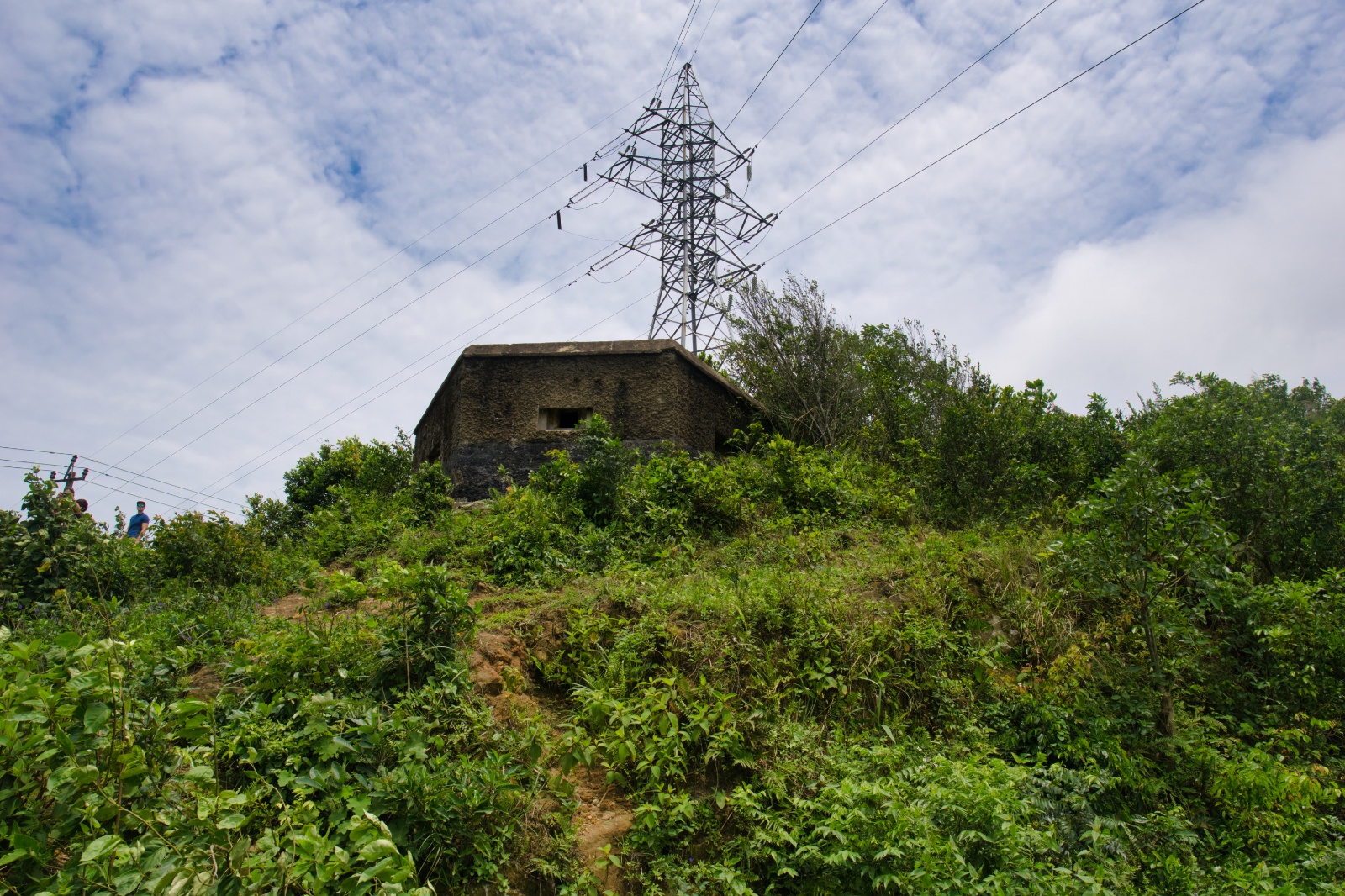 DSC02550