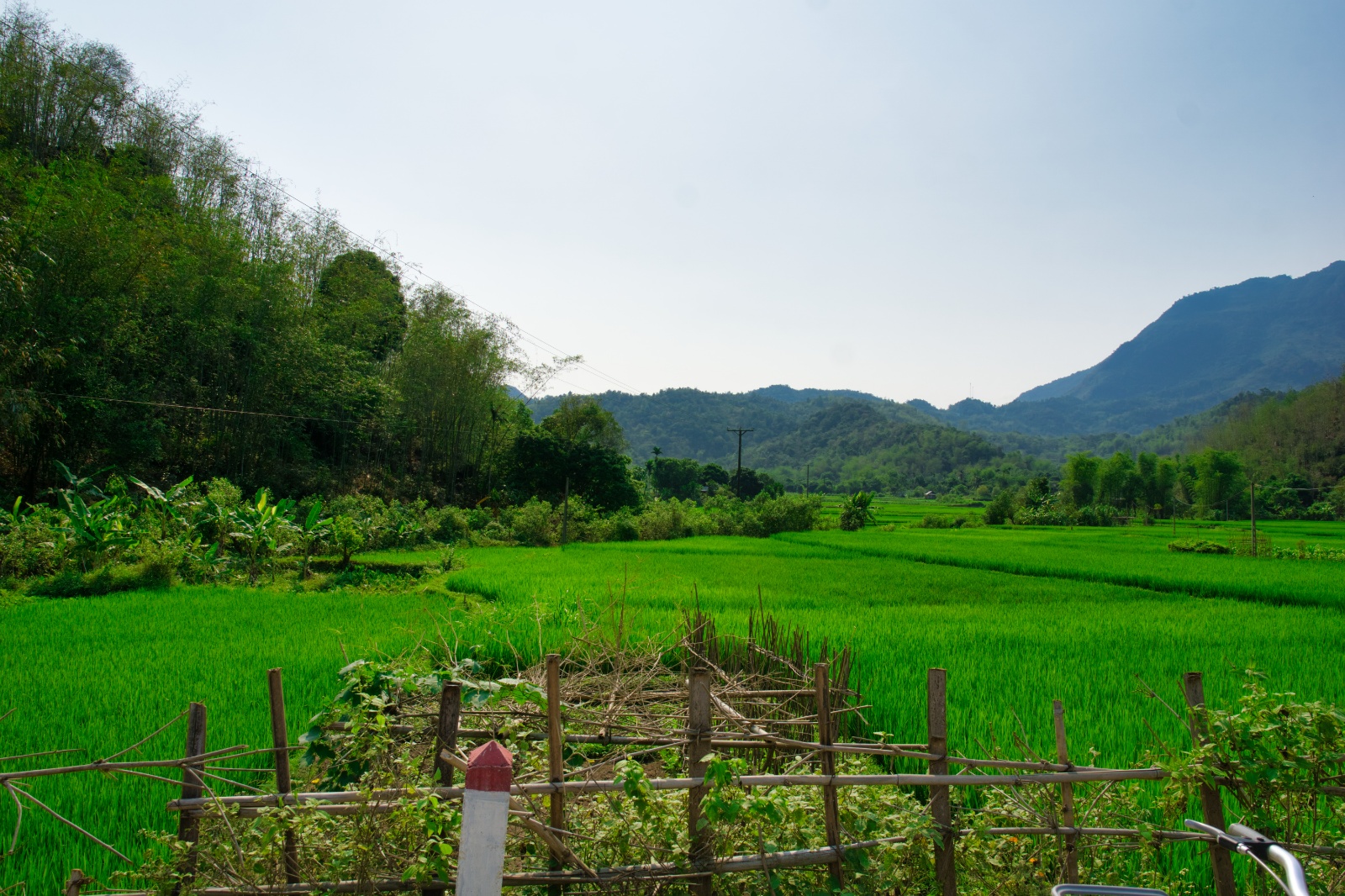 Mai Chau