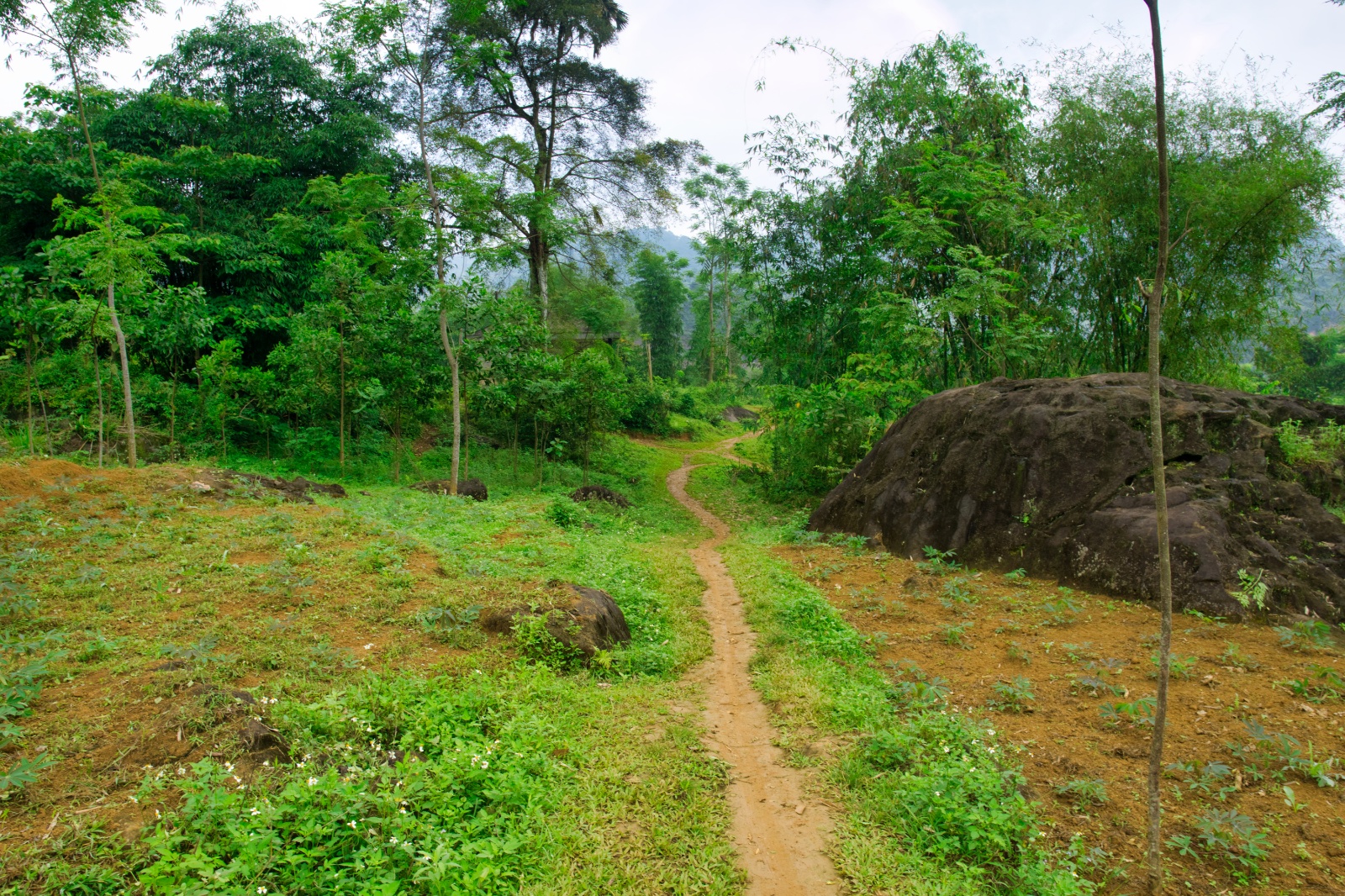 DSC05058