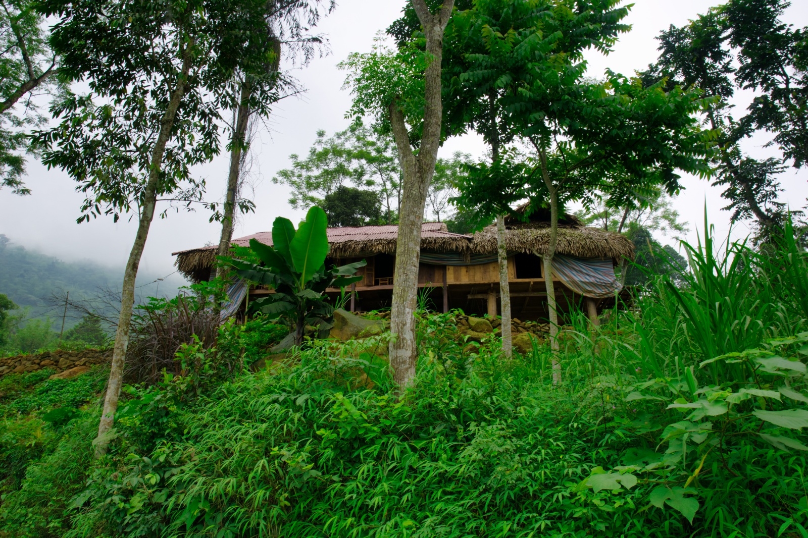 DSC05067