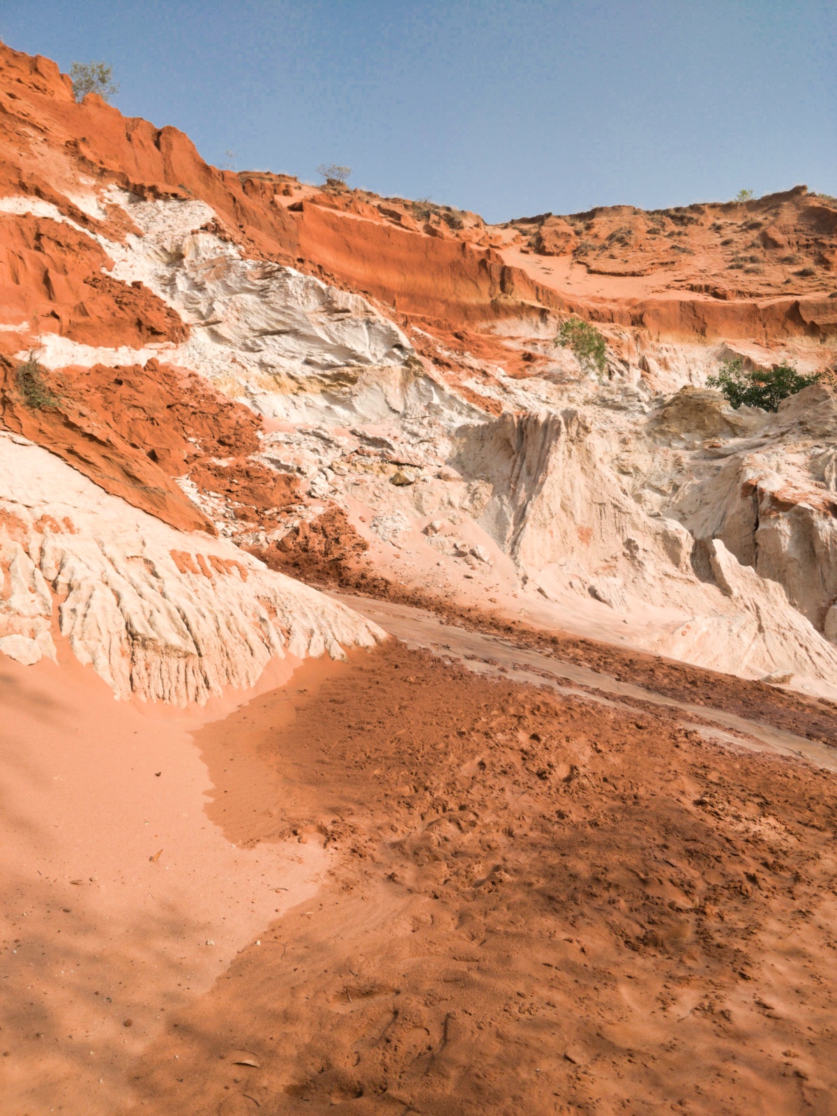 IMG 20190316 075041