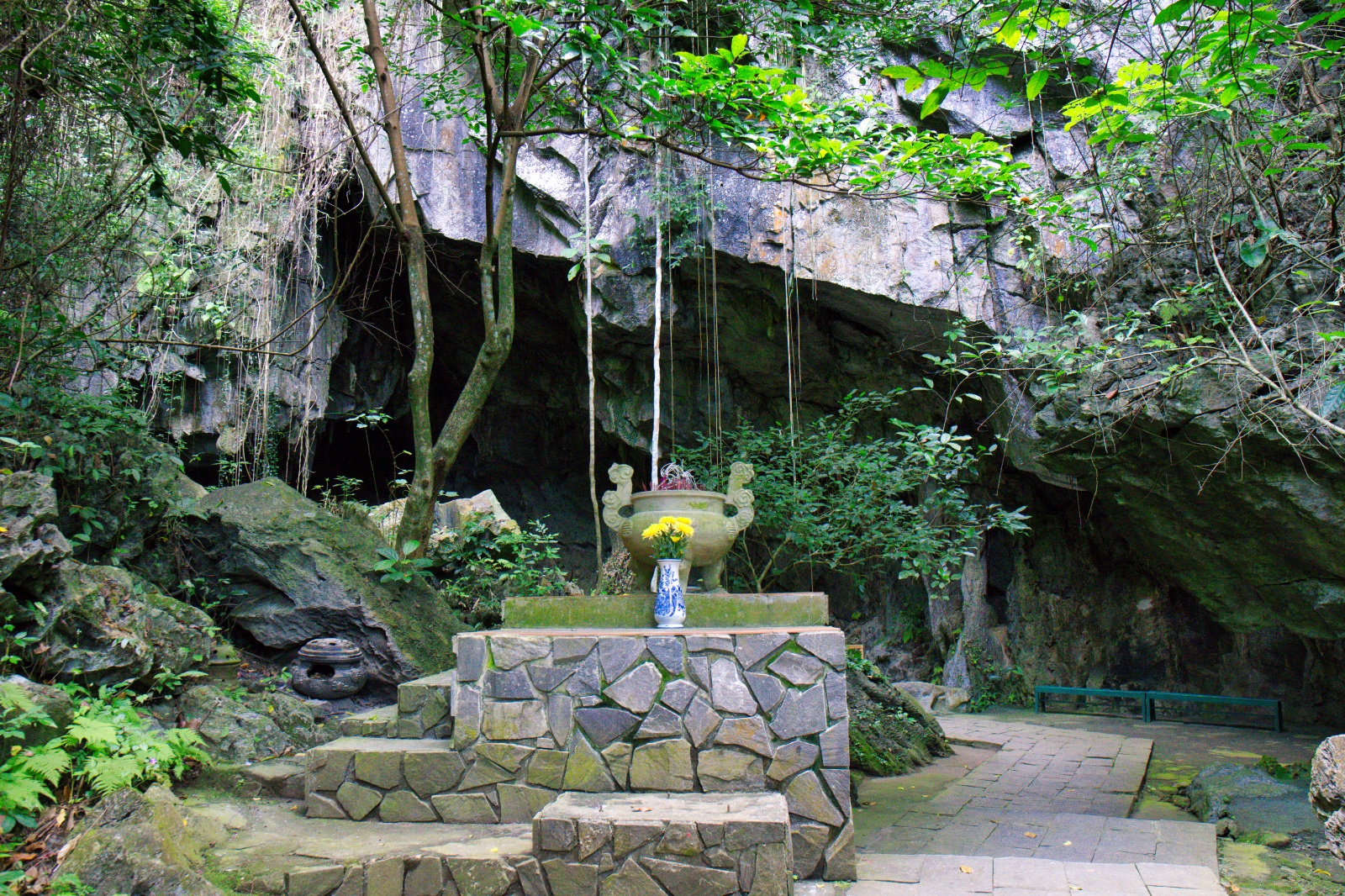 DSC03420