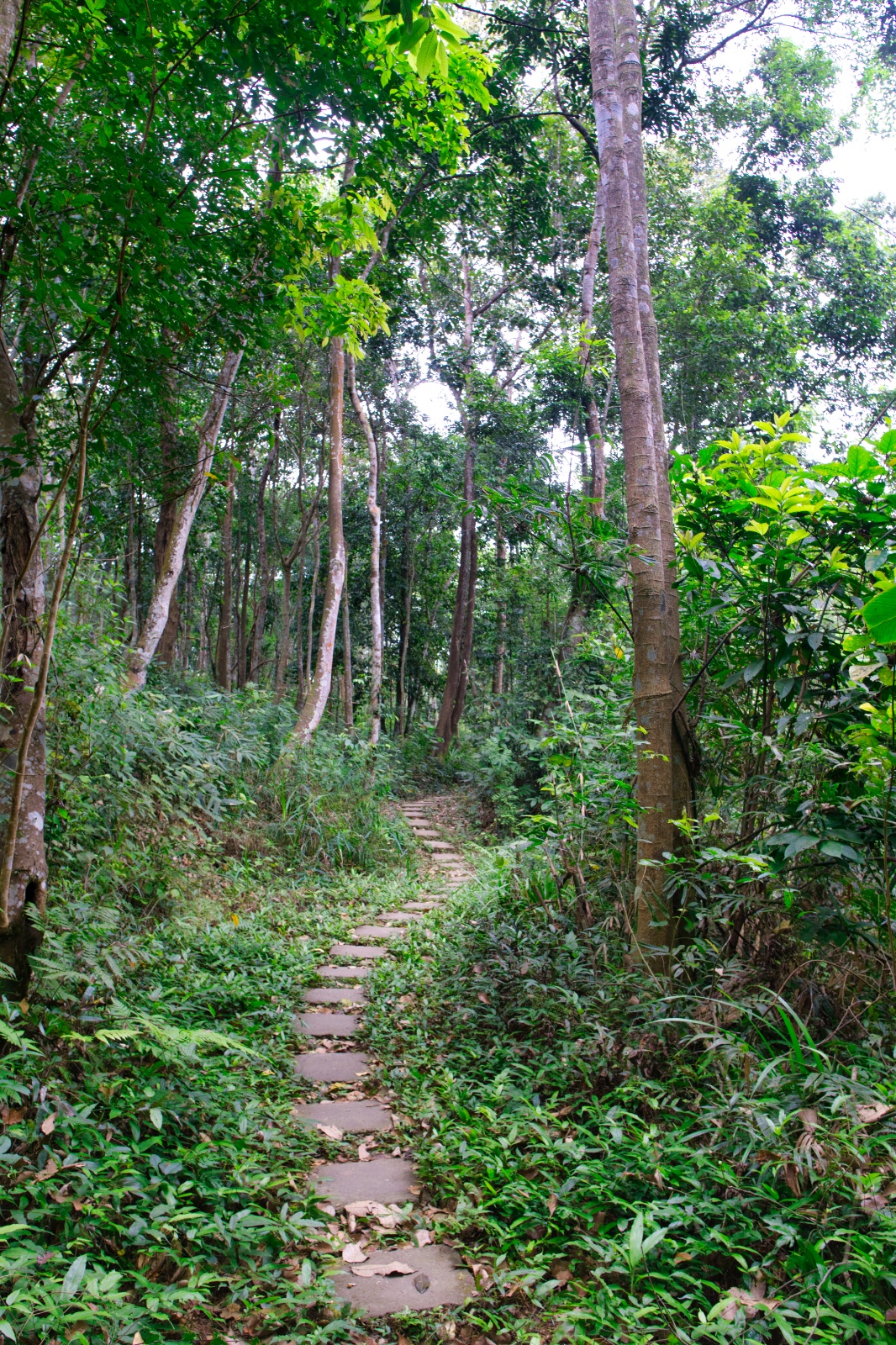 DSC03950