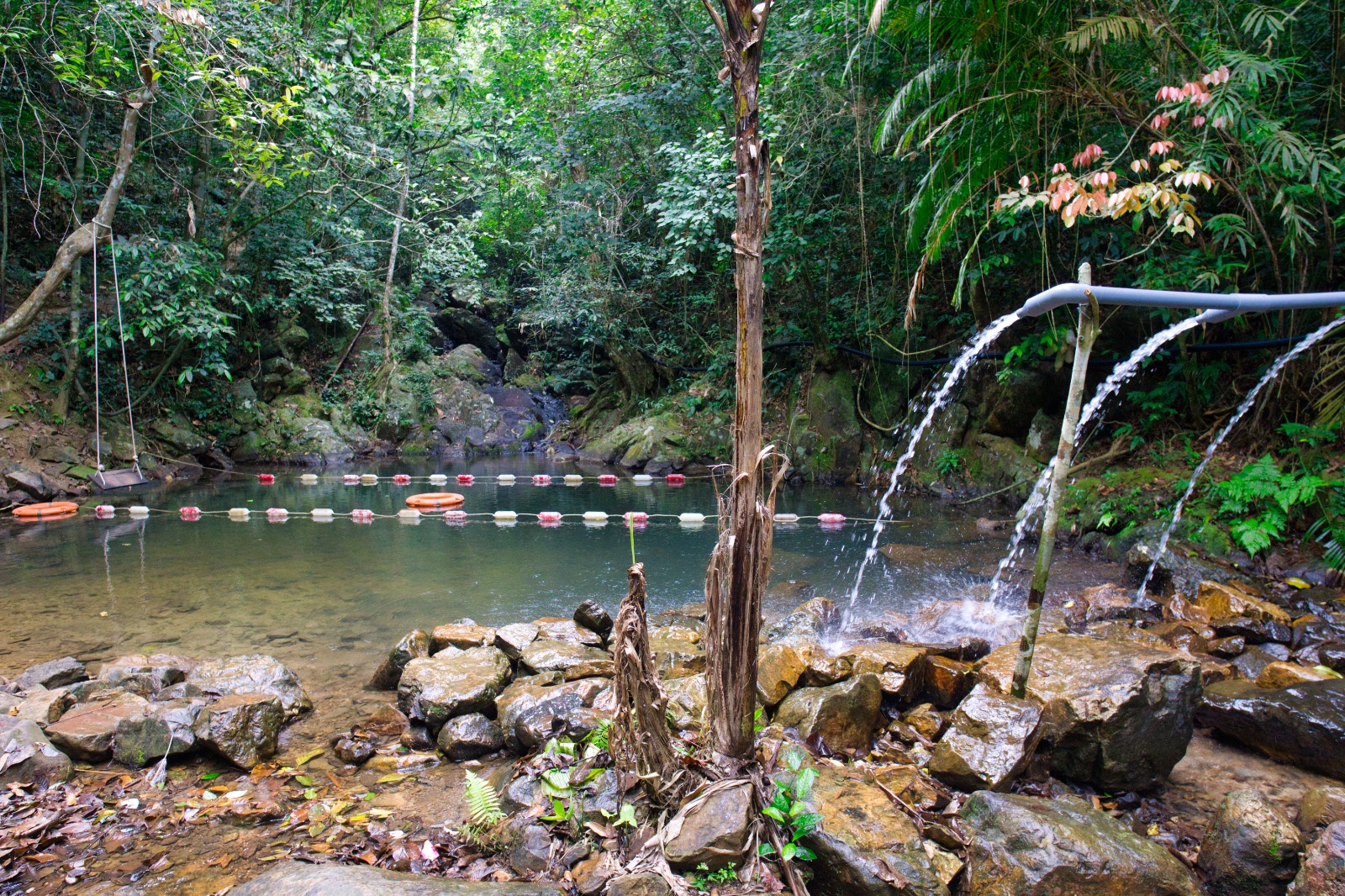 DSC03952