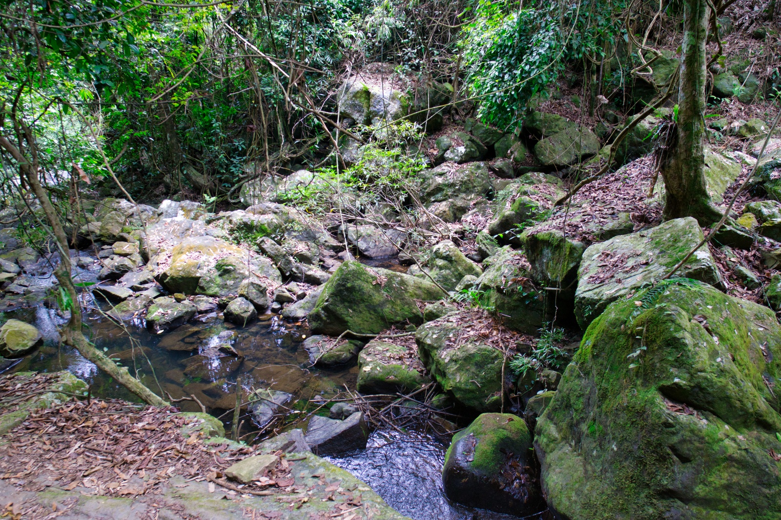 DSC03979