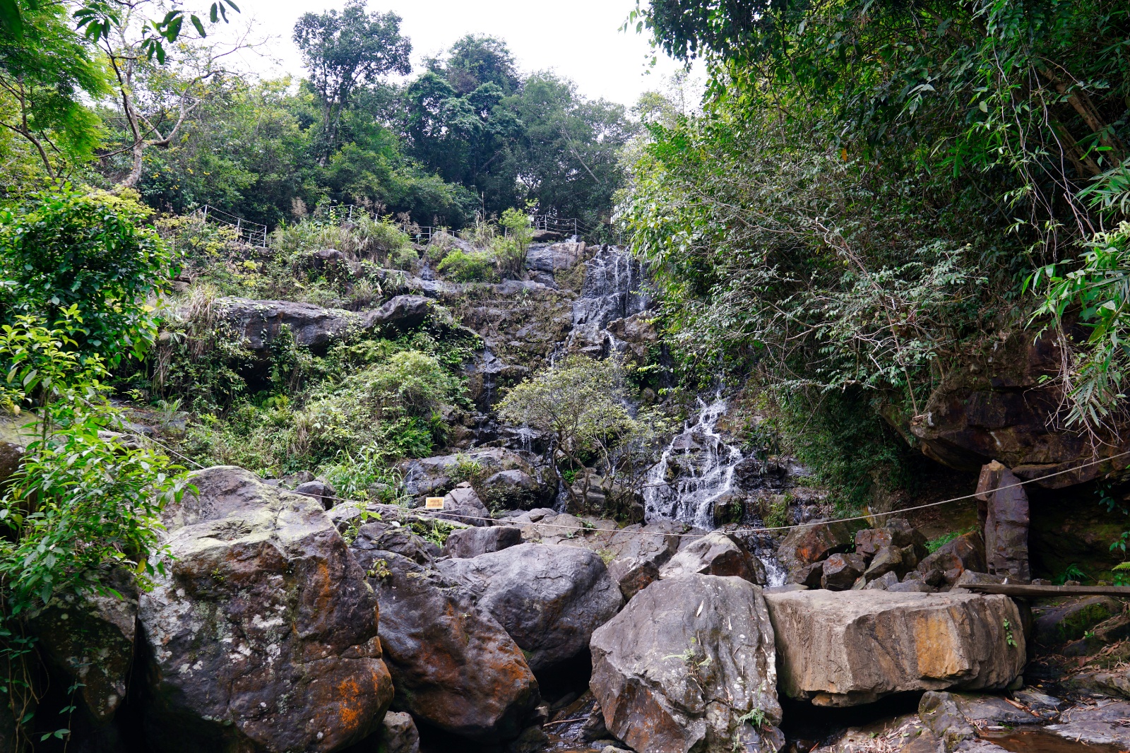 DSC03994