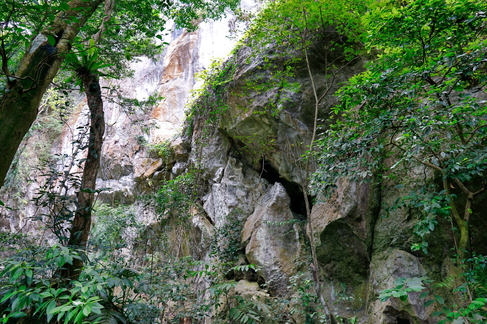 DSC03997