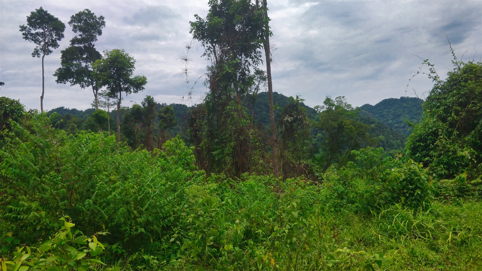 IMG 20190509 121602(1)