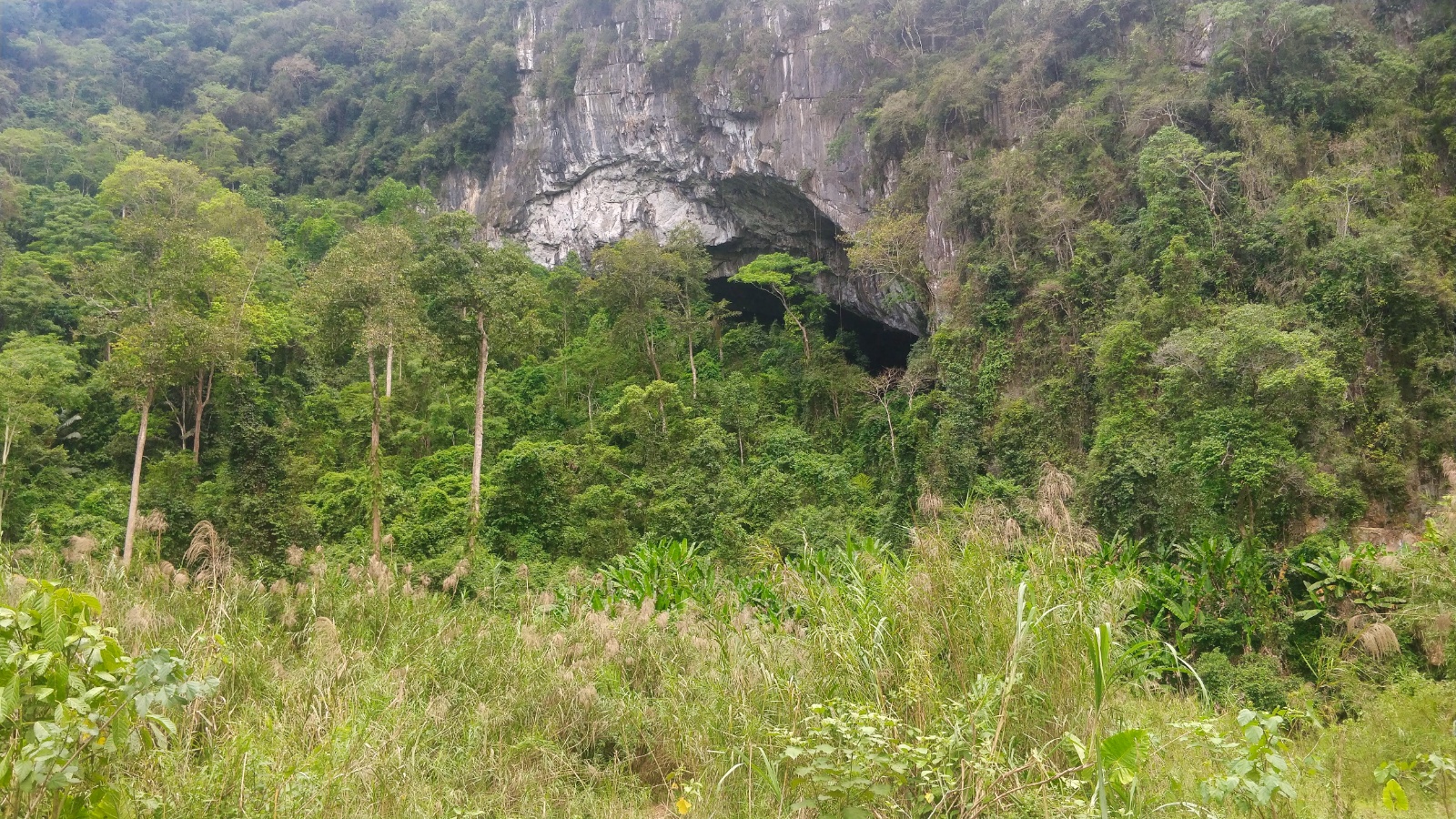 IMG 20190509 144822(1)