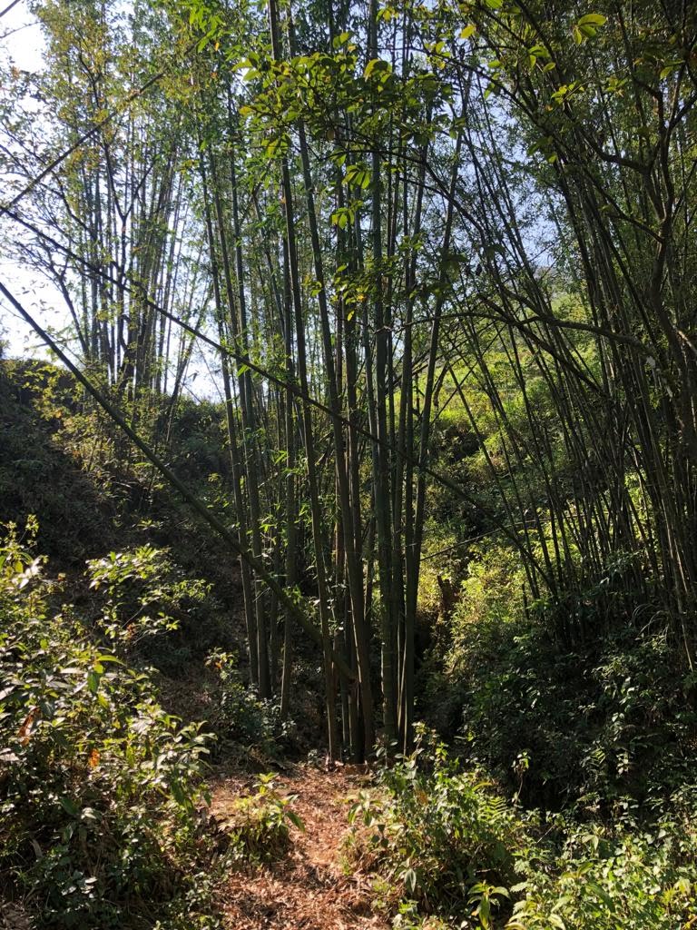 IMG 20190424 WA0029