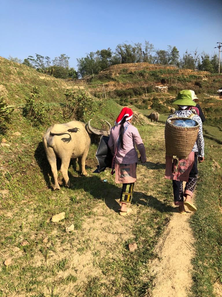 IMG 20190424 WA0052