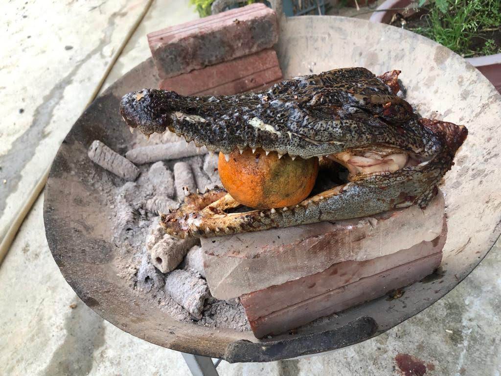 IMG 20190424 WA0104