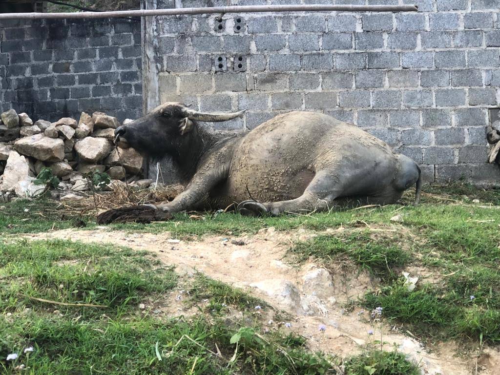 IMG 20190424 WA0124