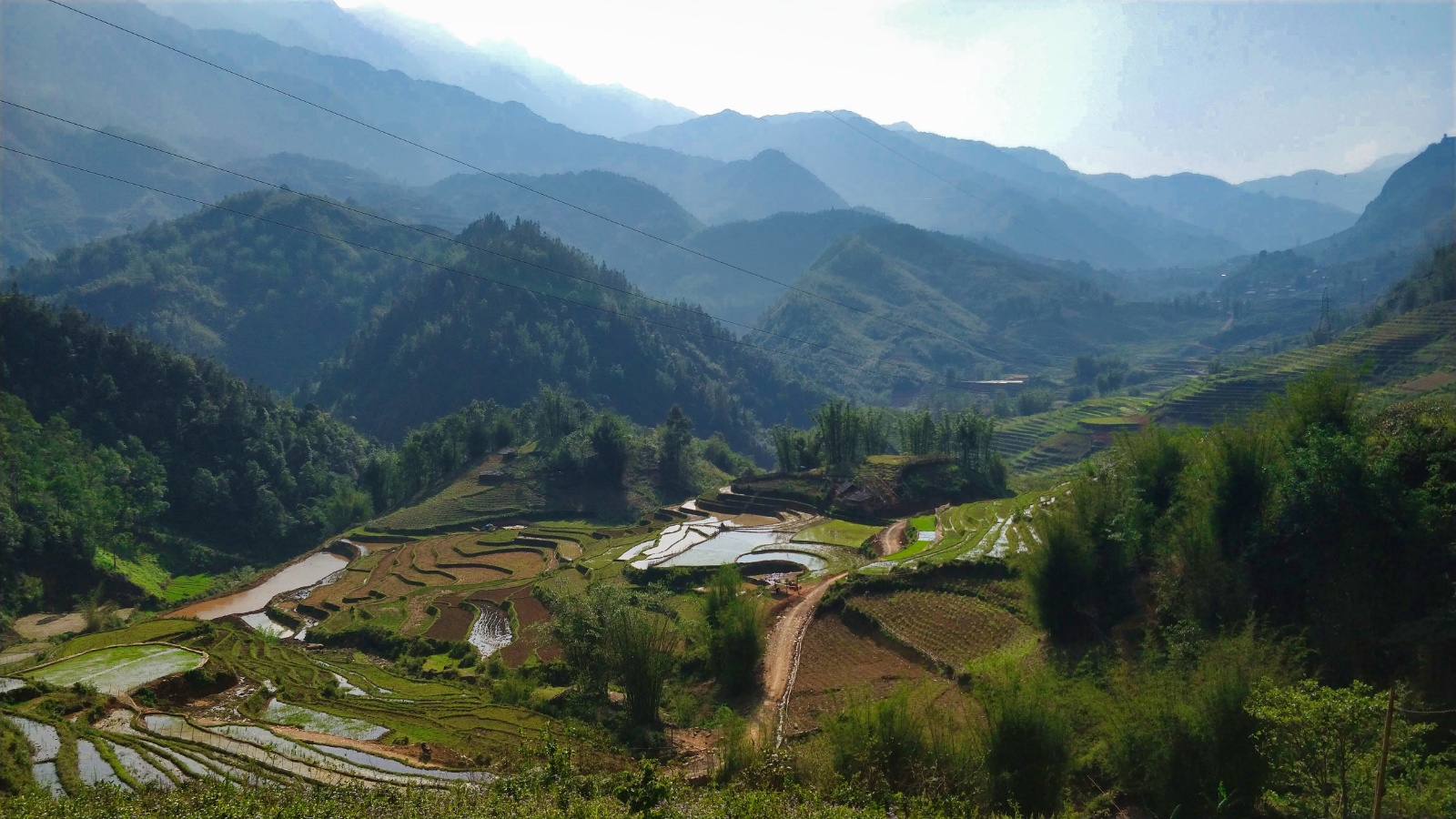 Sapa