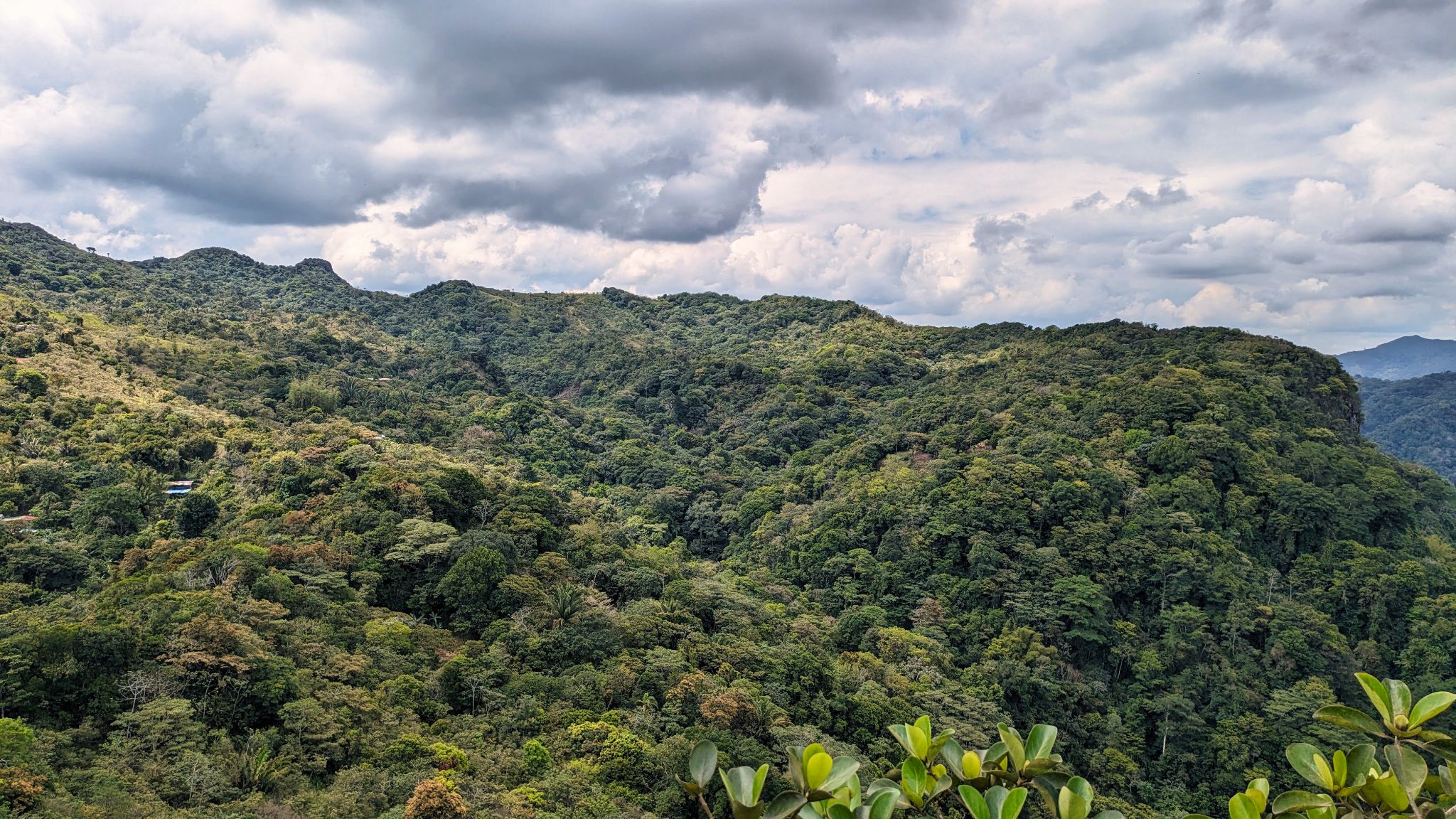 Panama ElValle 45