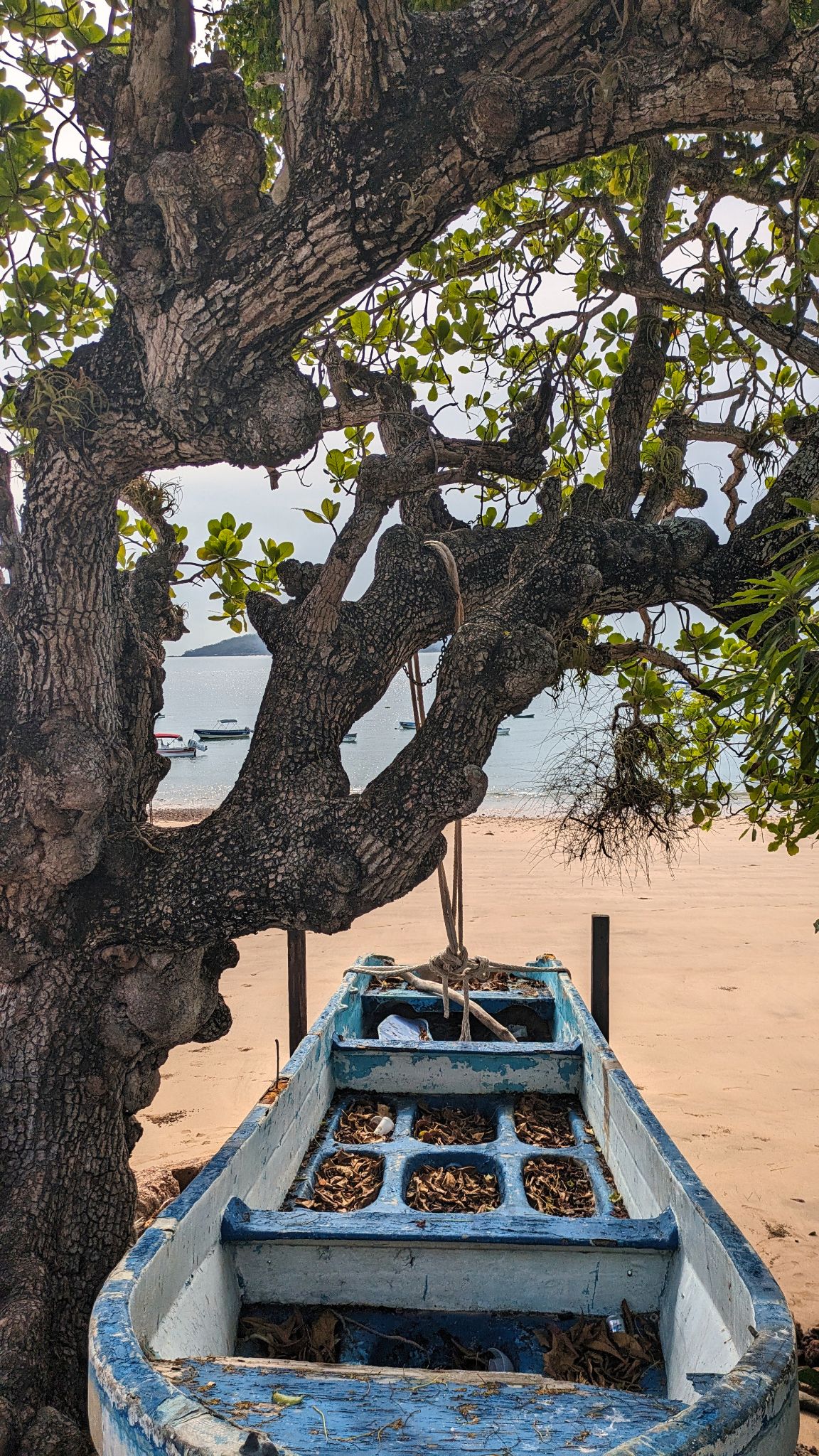 Panama Taboga 10