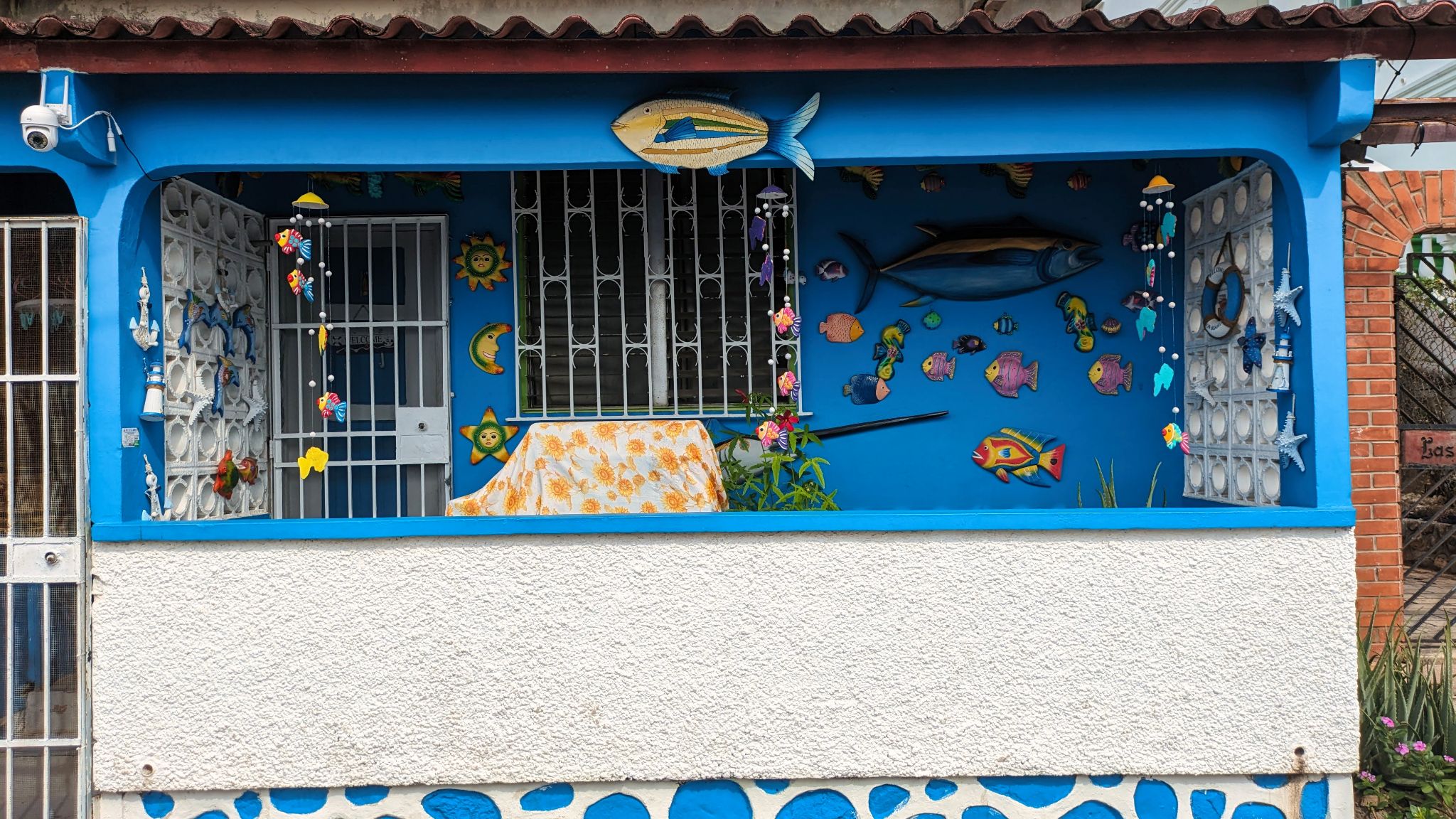 Panama Taboga 20