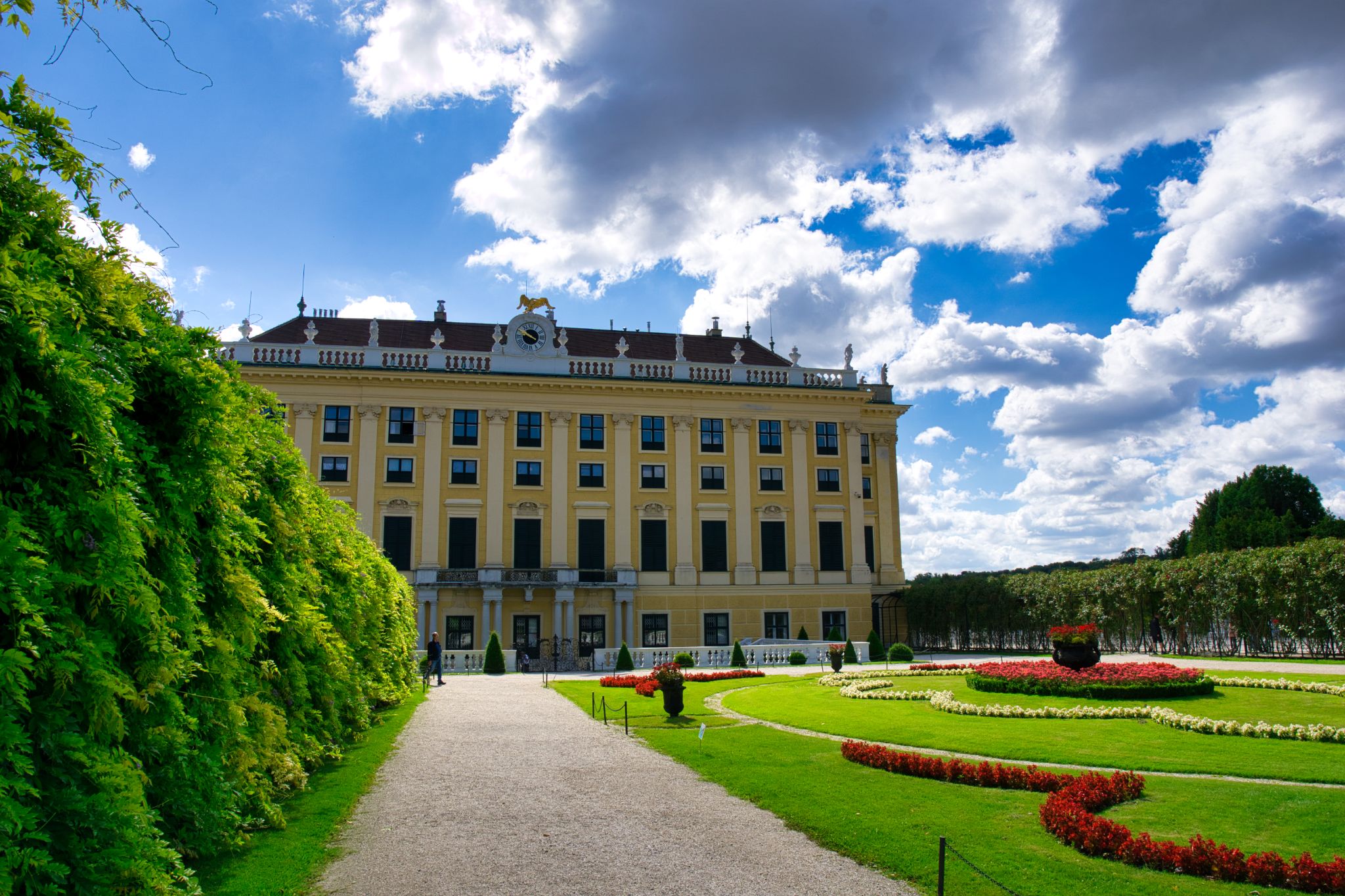 Austria vienna  21