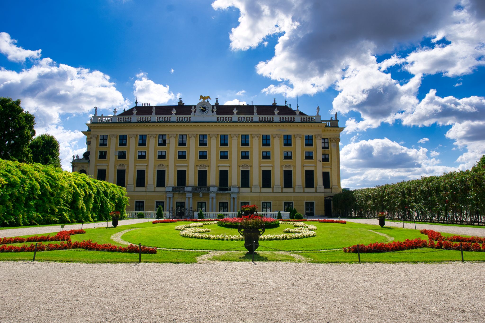 Austria vienna  23
