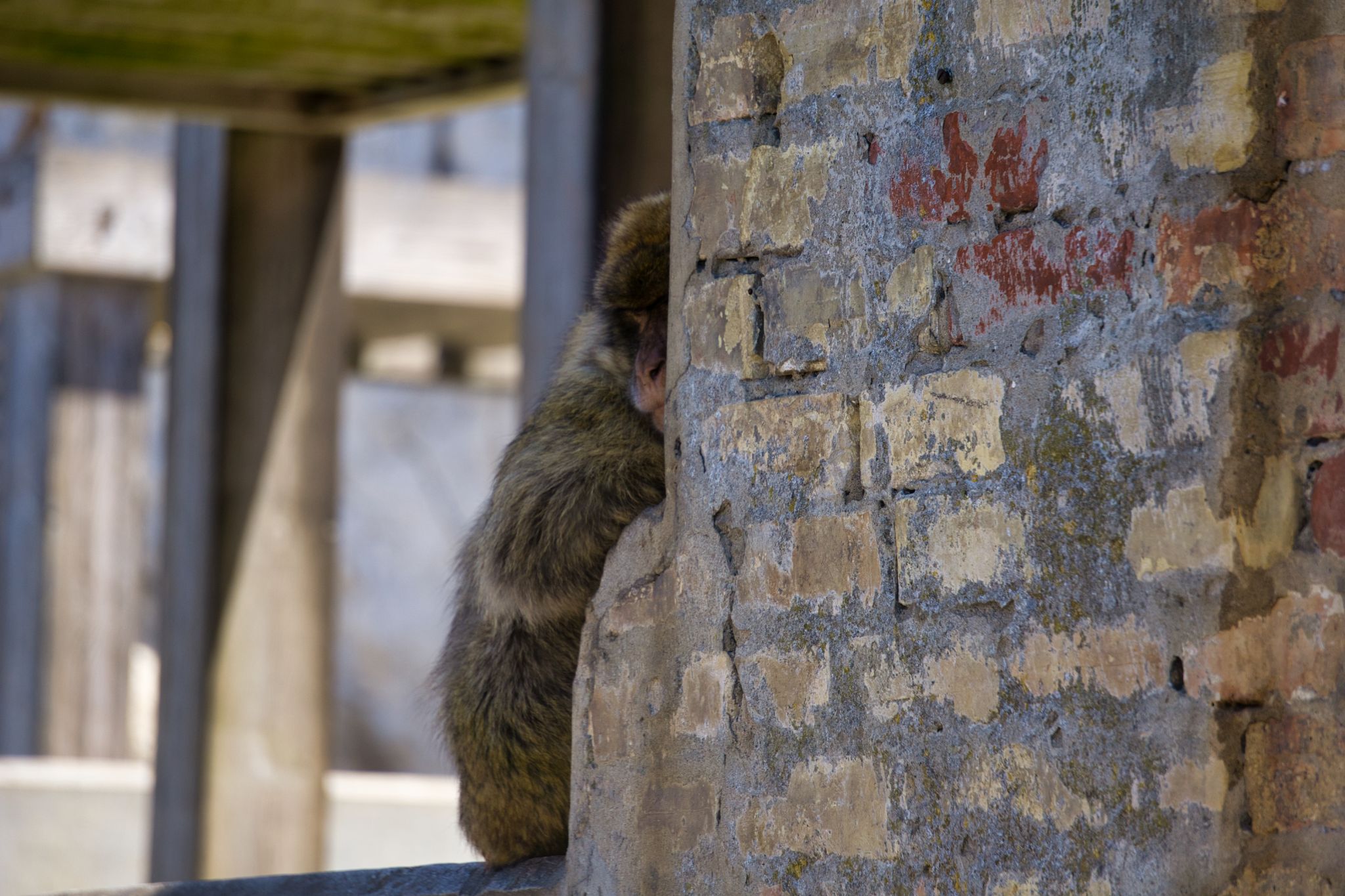 UK Gibraltar 014