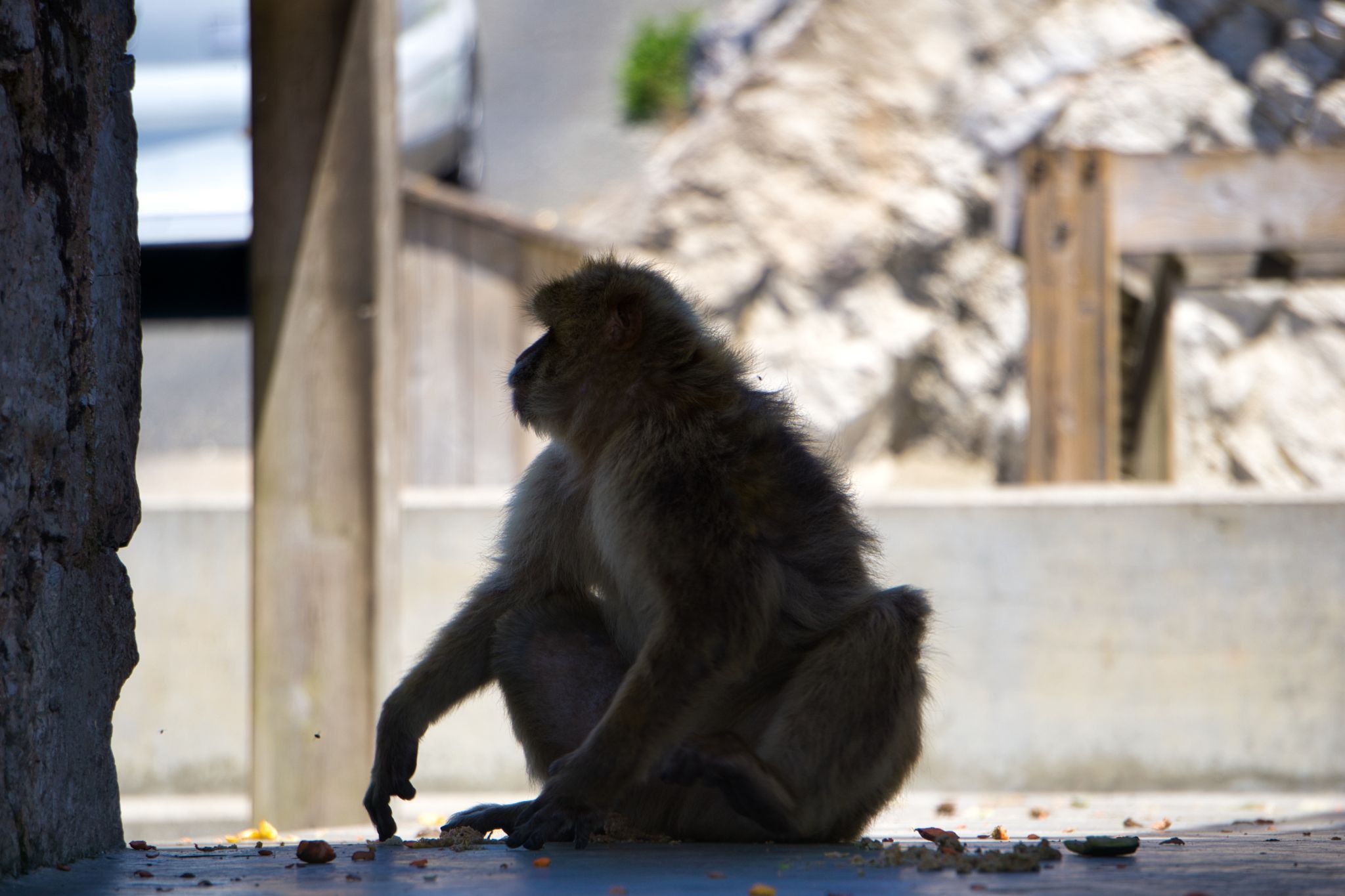 UK Gibraltar 020