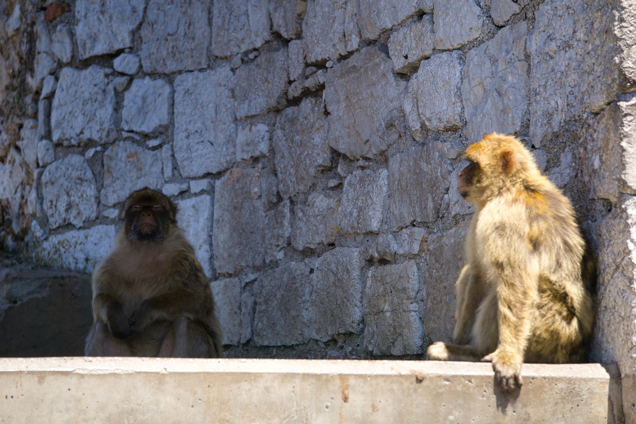 UK Gibraltar 026