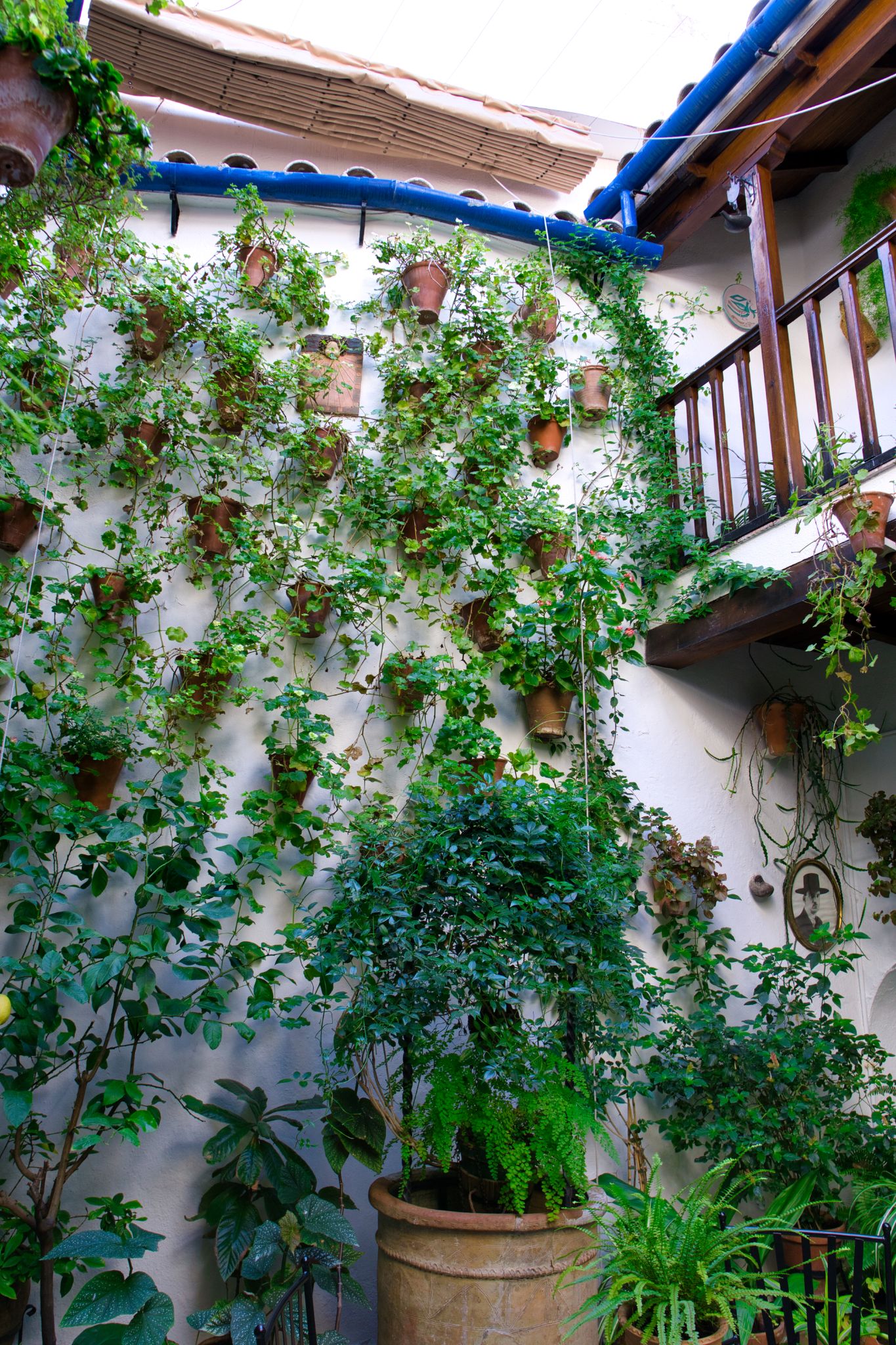 Spain Cordoba 276