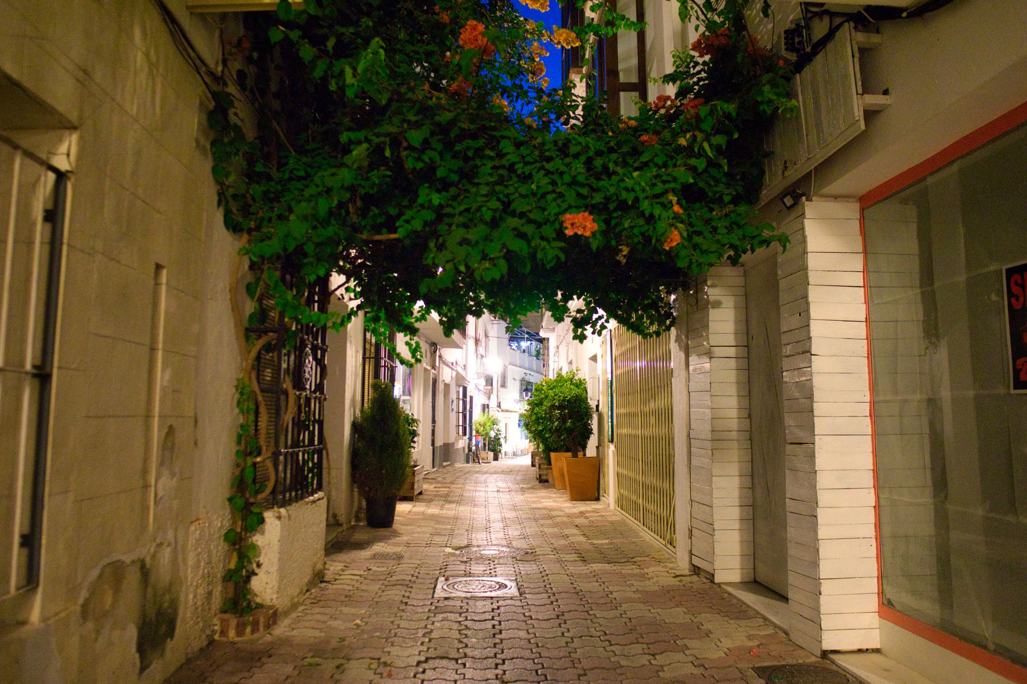 Marbella  26