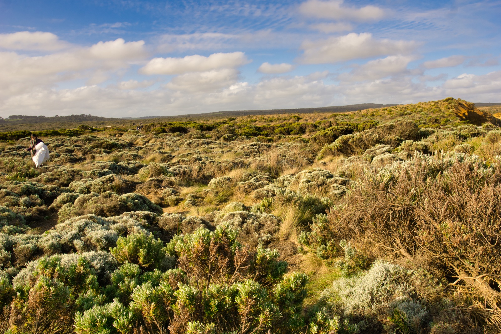 Greatoceanroad 22